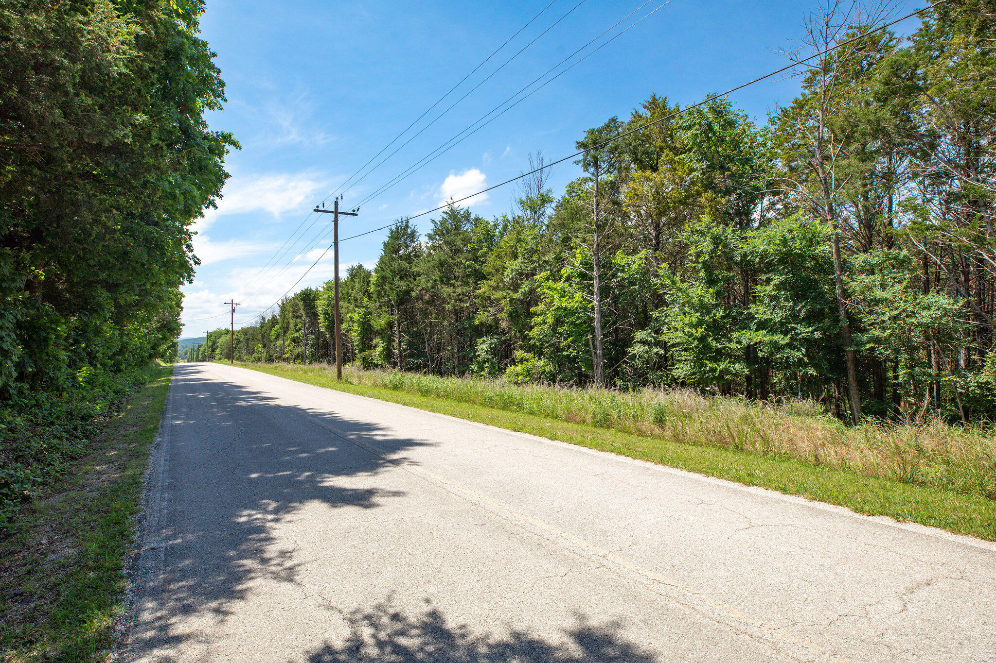 Photo 7 - Land for sale – 205  Mayflower Drive  Lampe, MO