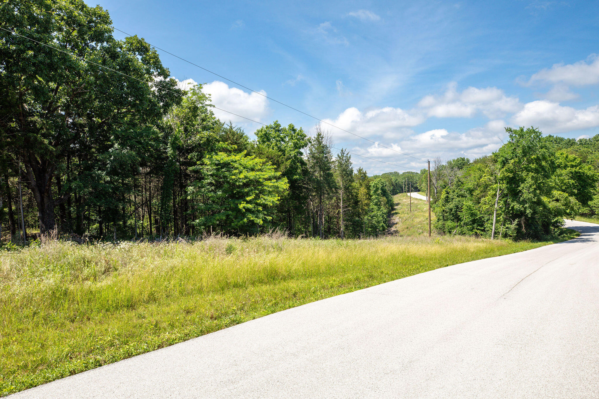Photo 8 - Land for sale – 205  Mayflower Drive  Lampe, MO