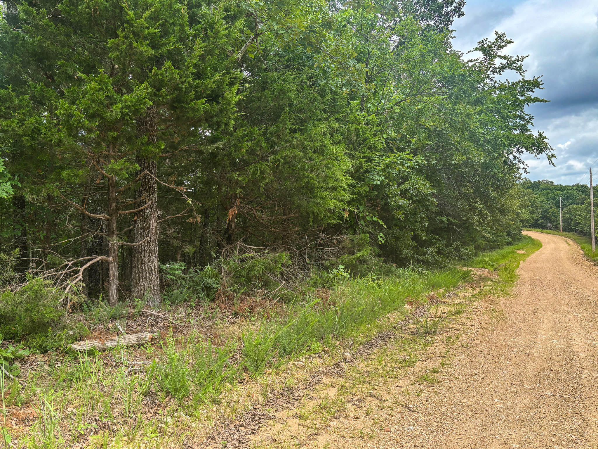 Land for sale – 000  County Road 815   Gainesville, MO