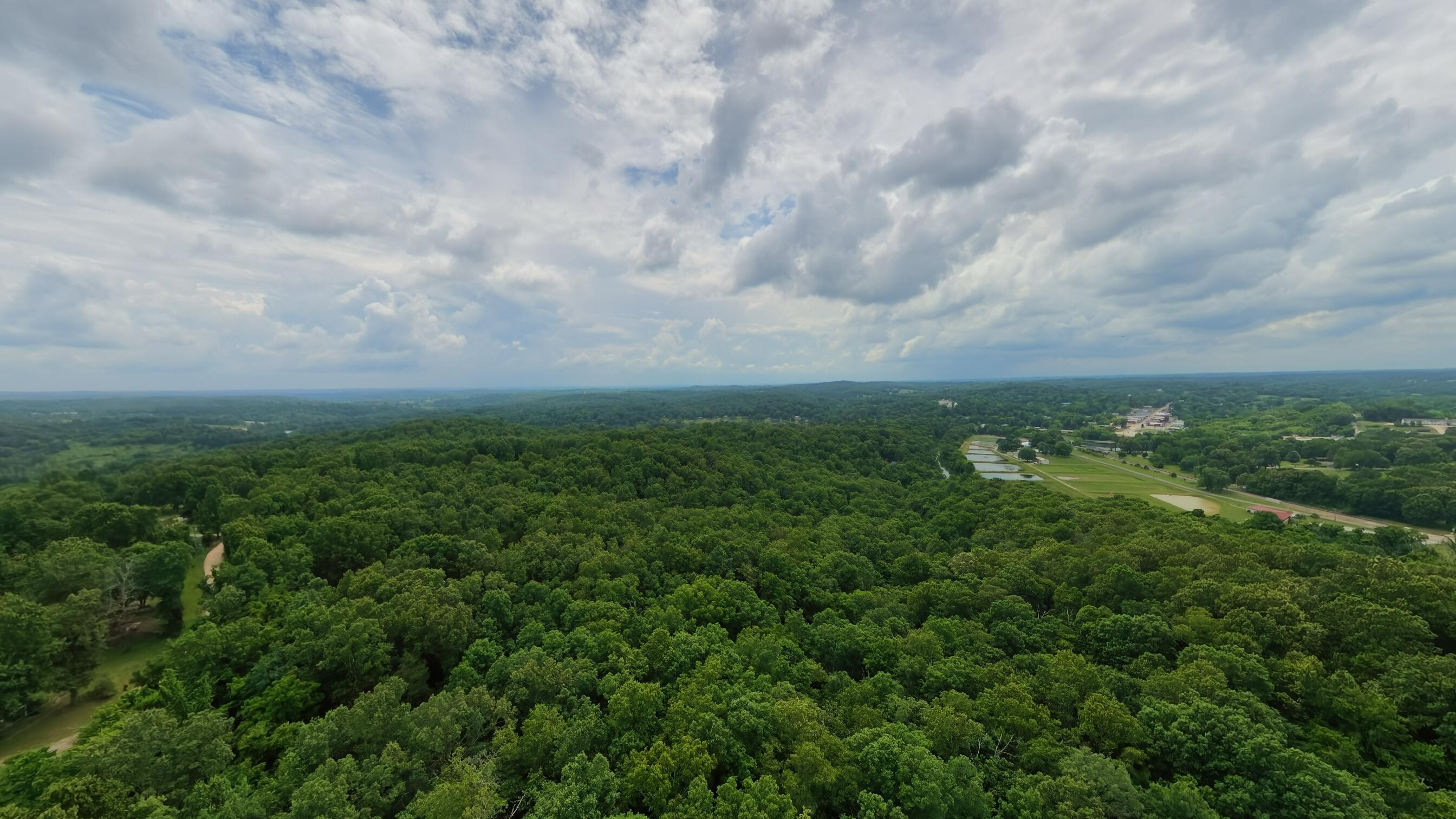 Photo 3 - Land for sale – 000  Music Hall Lane  Mammoth Spring, AR