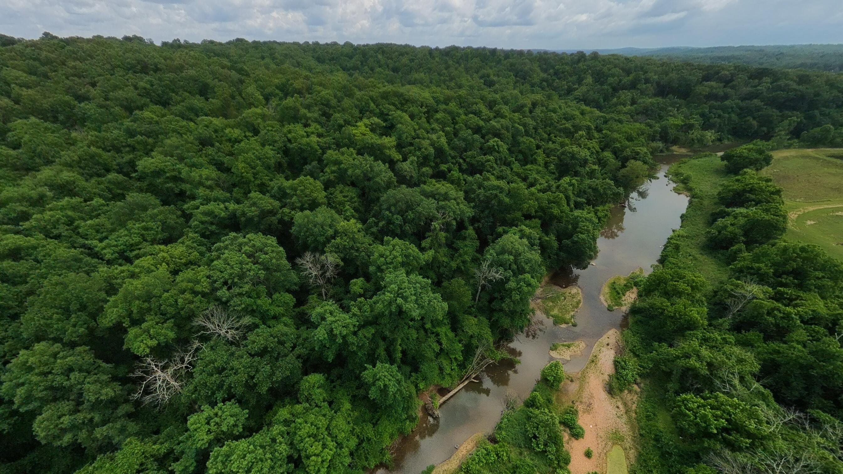 Photo 4 - Land for sale – 000  Music Hall Lane  Mammoth Spring, AR