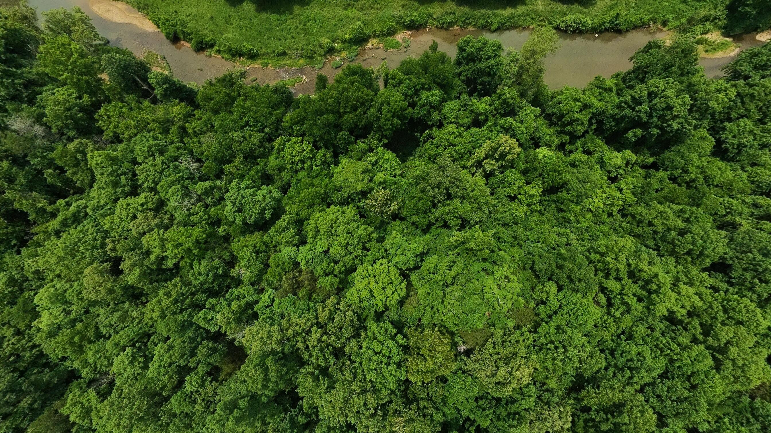 Photo 13 - Land for sale – 000  Music Hall Lane  Mammoth Spring, AR