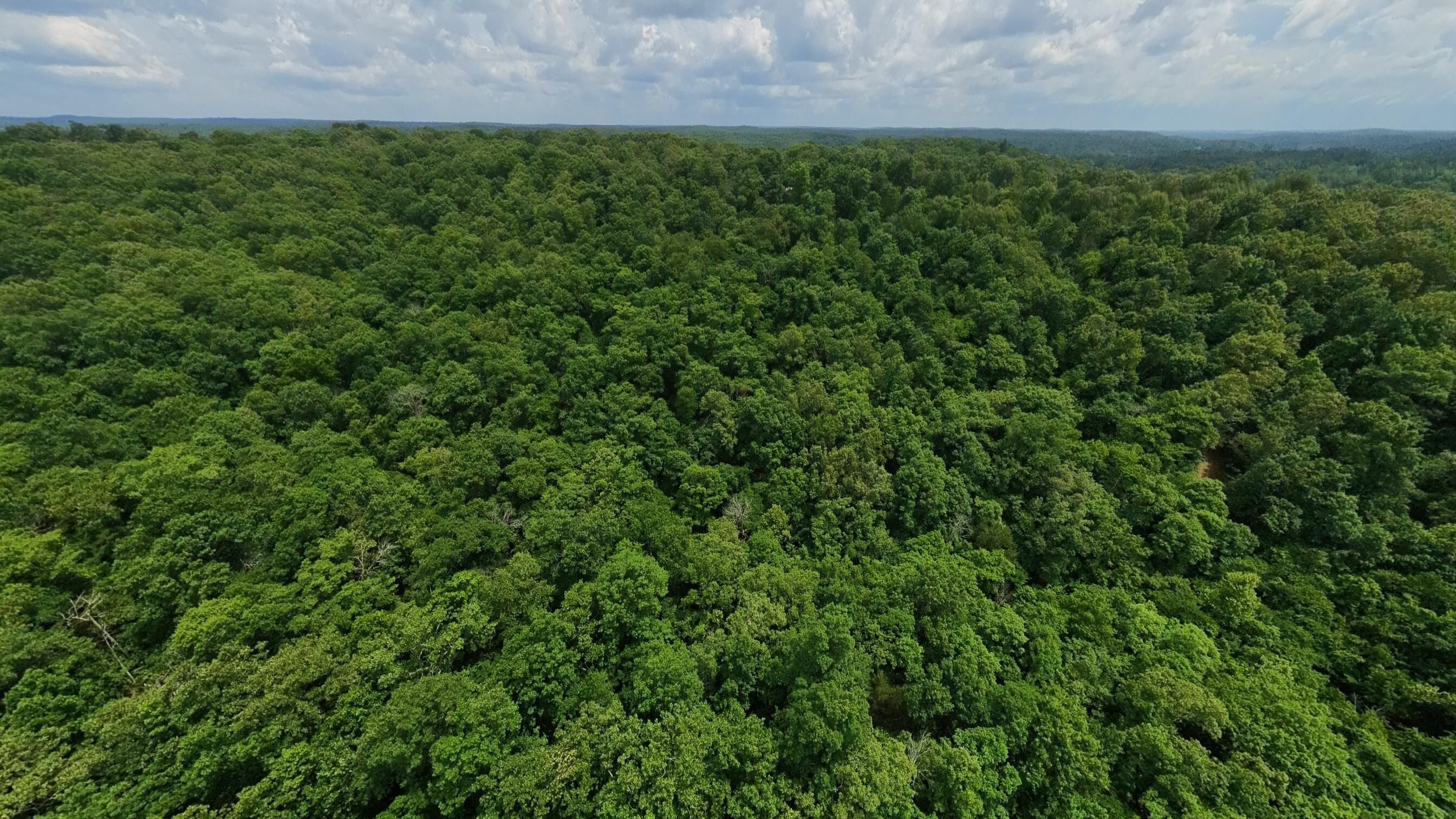 Photo 12 - Land for sale – 000  Music Hall Lane  Mammoth Spring, AR