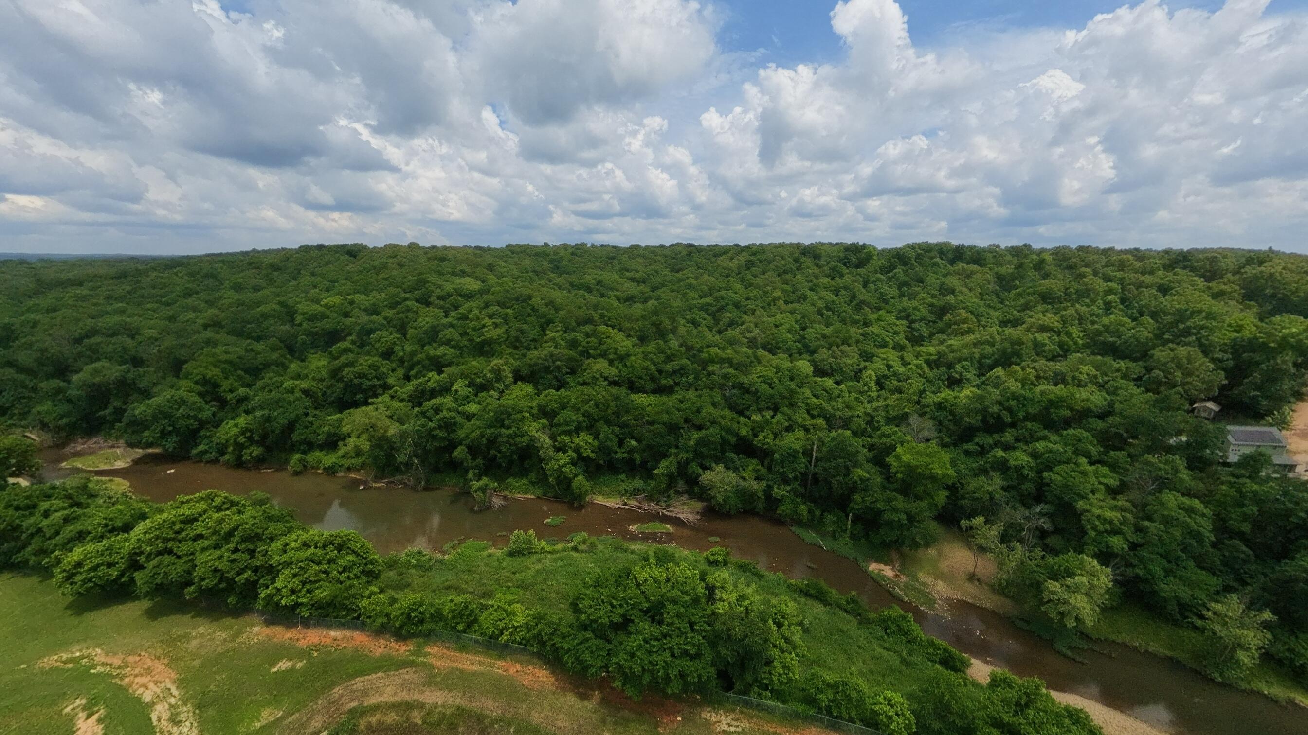 Photo 7 - Land for sale – 000  Music Hall Lane  Mammoth Spring, AR