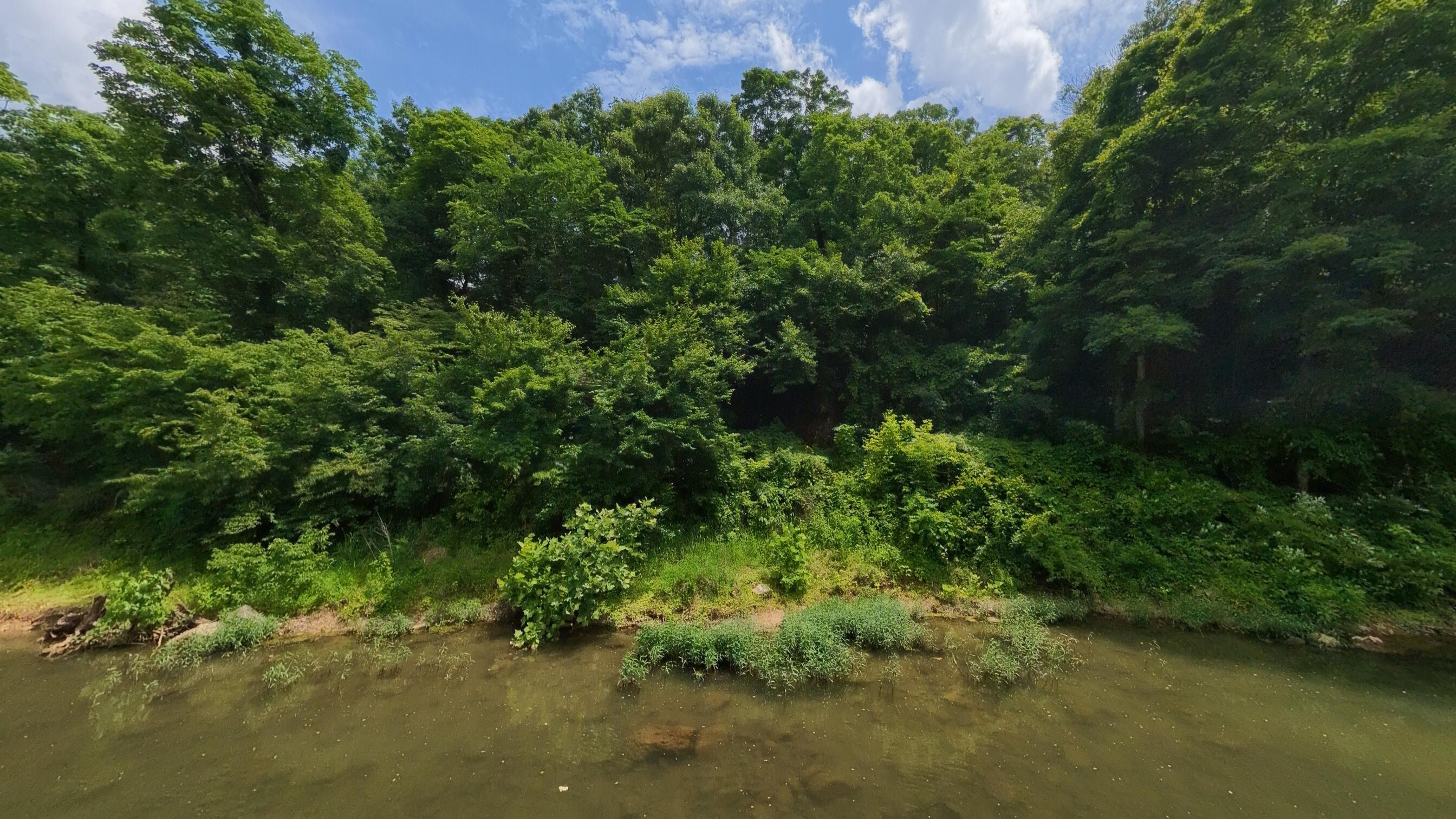 Photo 9 - Land for sale – 000  Music Hall Lane  Mammoth Spring, AR