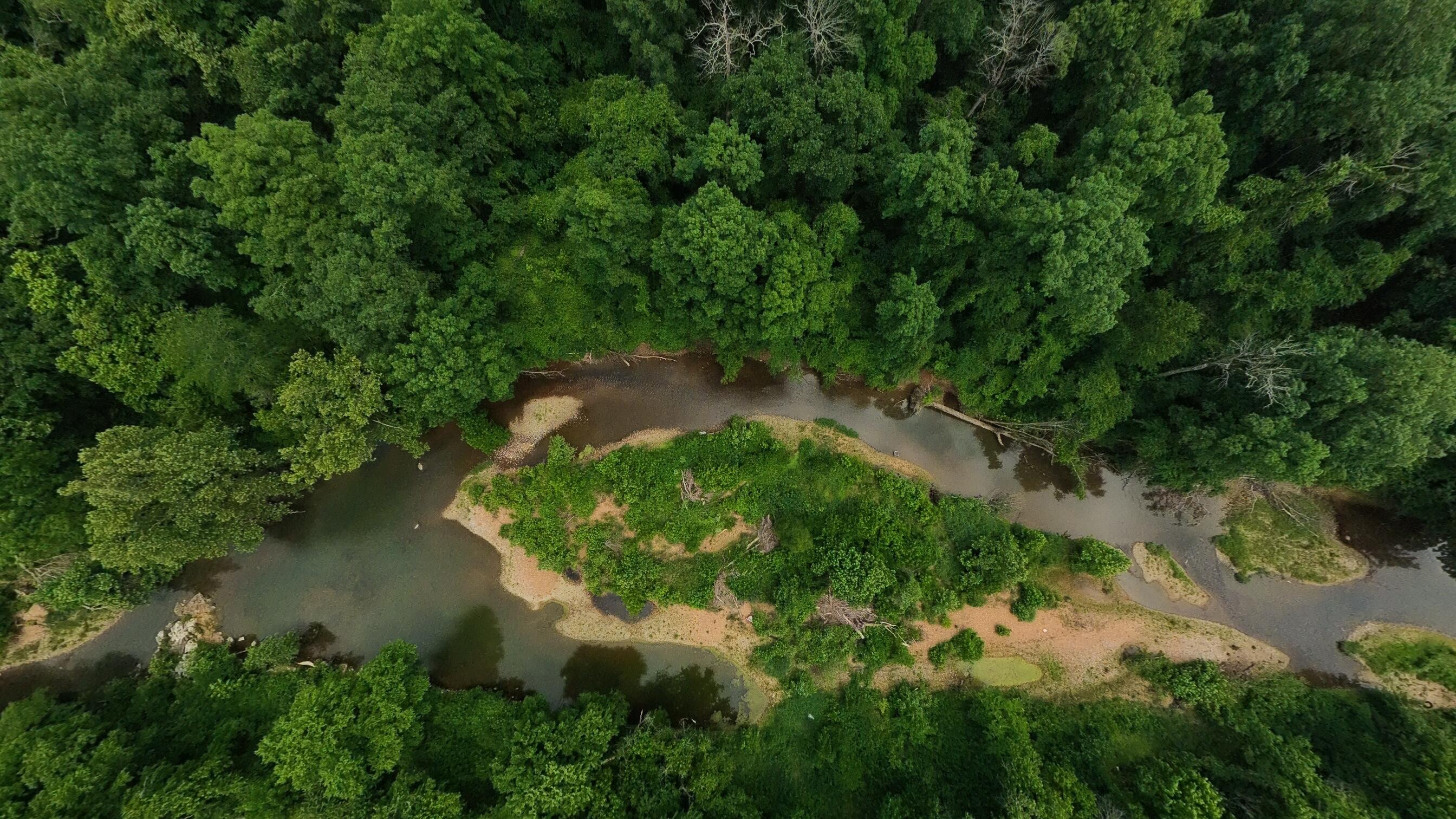 Photo 5 - Land for sale – 000  Music Hall Lane  Mammoth Spring, AR