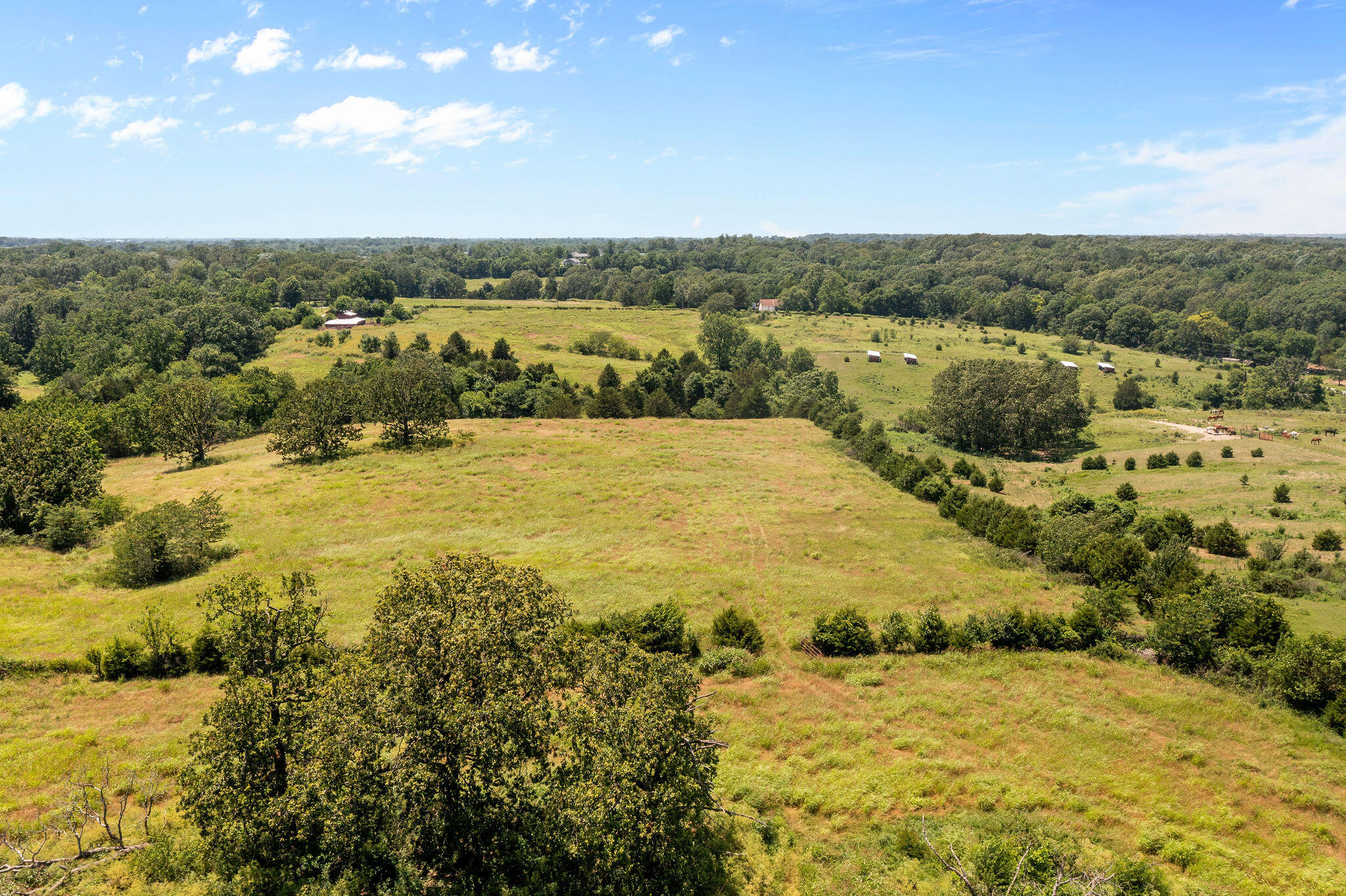 Photo 29 - Land for sale – 3812 N Farm Rd 131   Springfield, MO