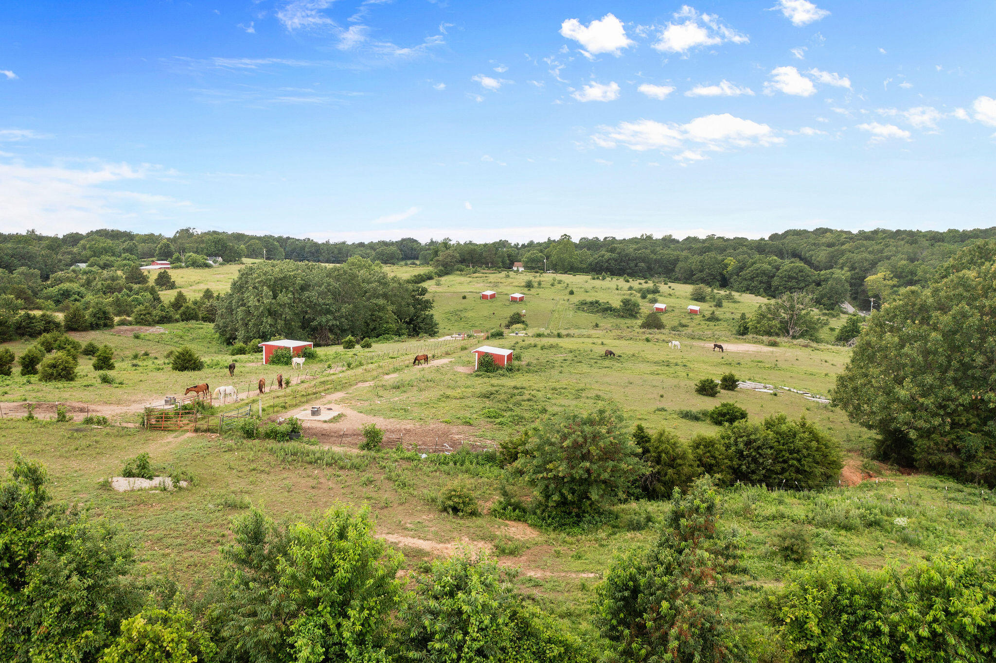 Photo 19 - Land for sale – 3812 N Farm Rd 131   Springfield, MO