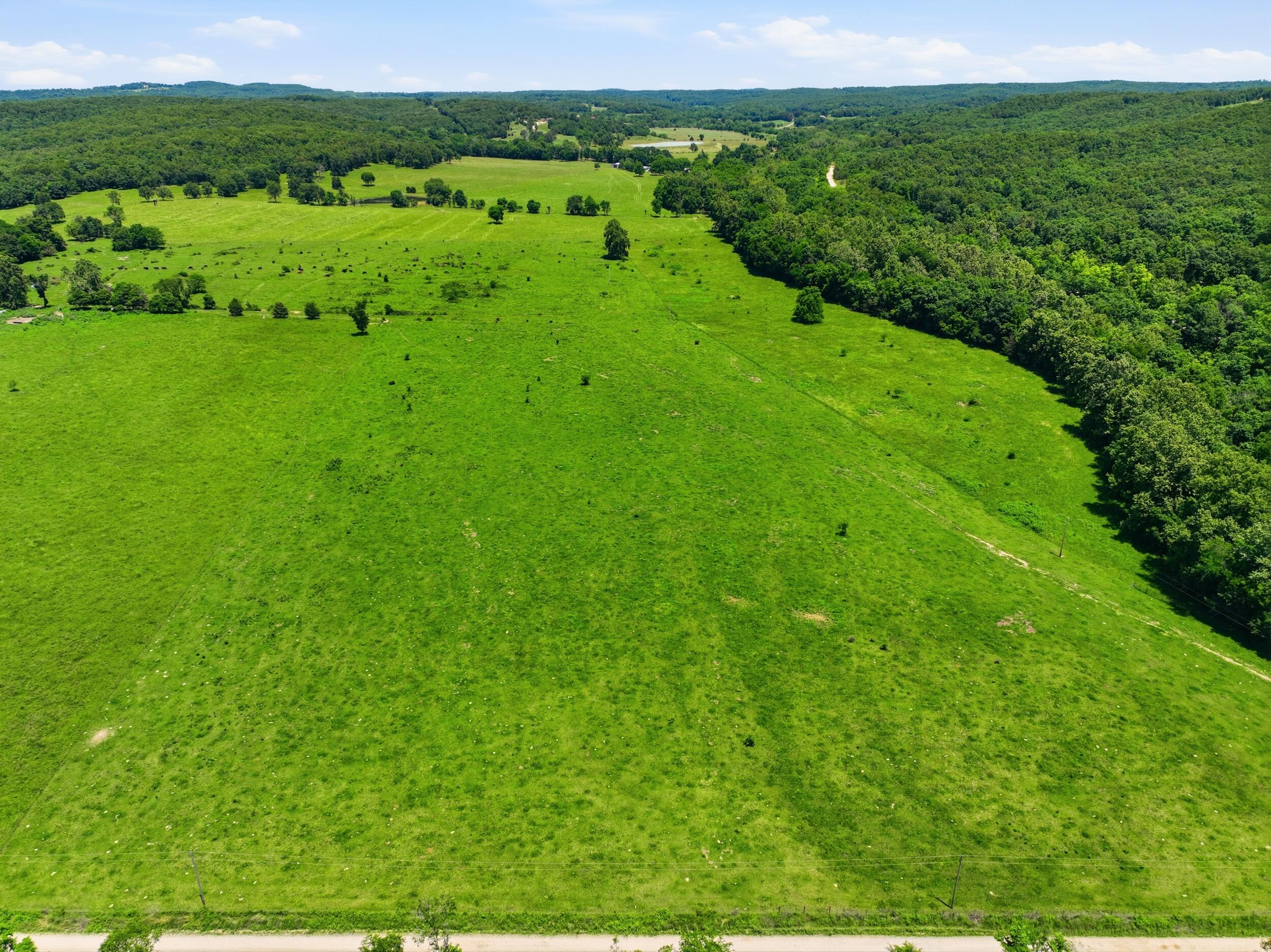 Photo 29 - Land for sale – 000  Pleasant Hill Road  Mountain Grove, MO