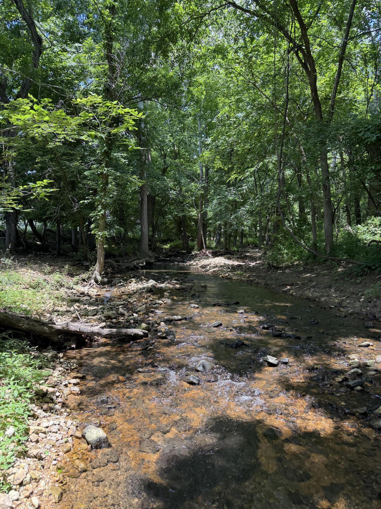 Photo 41 - Land for sale – 000  Pleasant Hill Road  Mountain Grove, MO