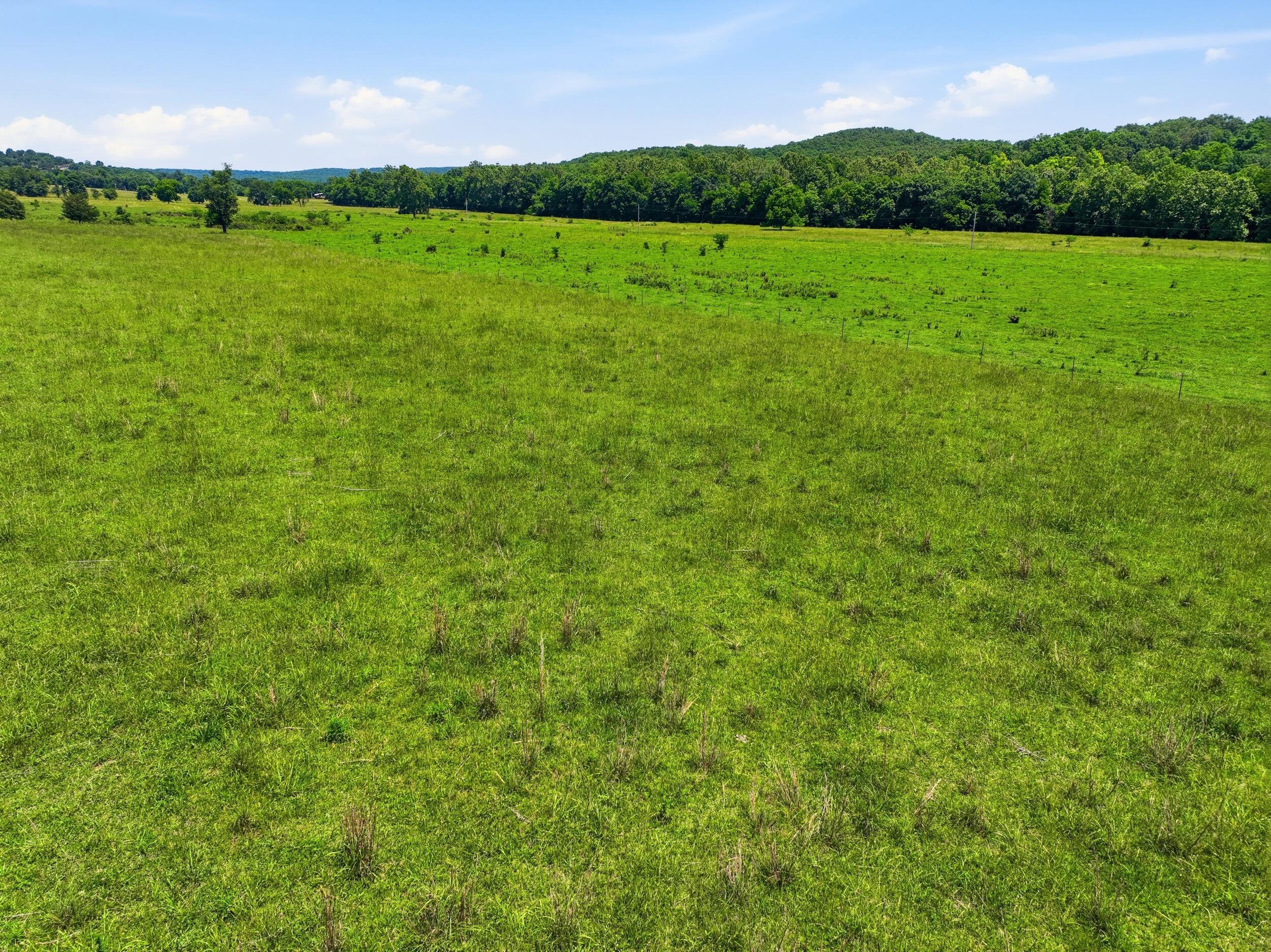 Photo 13 - Land for sale – 000  Pleasant Hill Road  Mountain Grove, MO