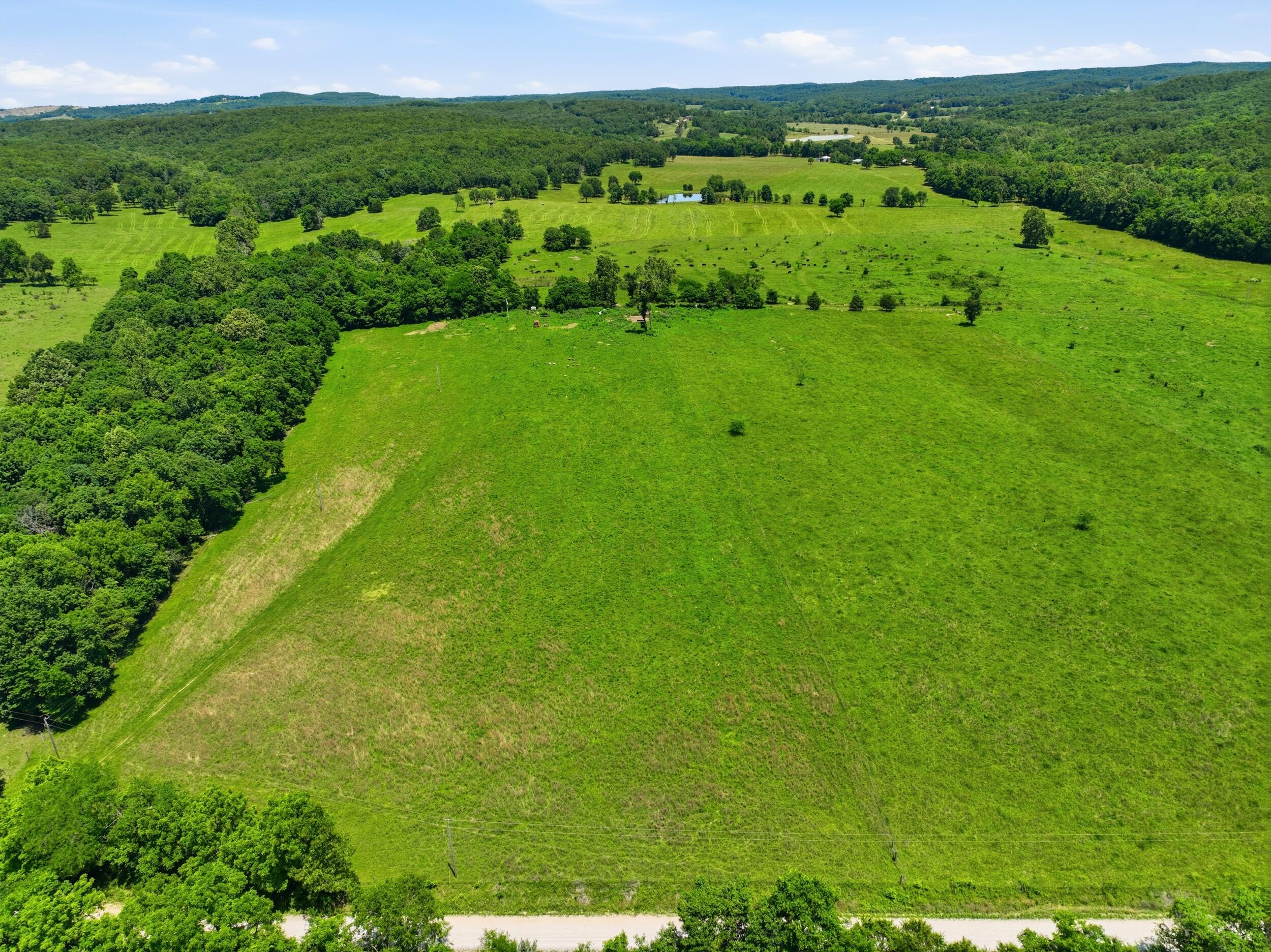 Land for sale – 000 Pleasant Hill Road Mountain Grove, MO