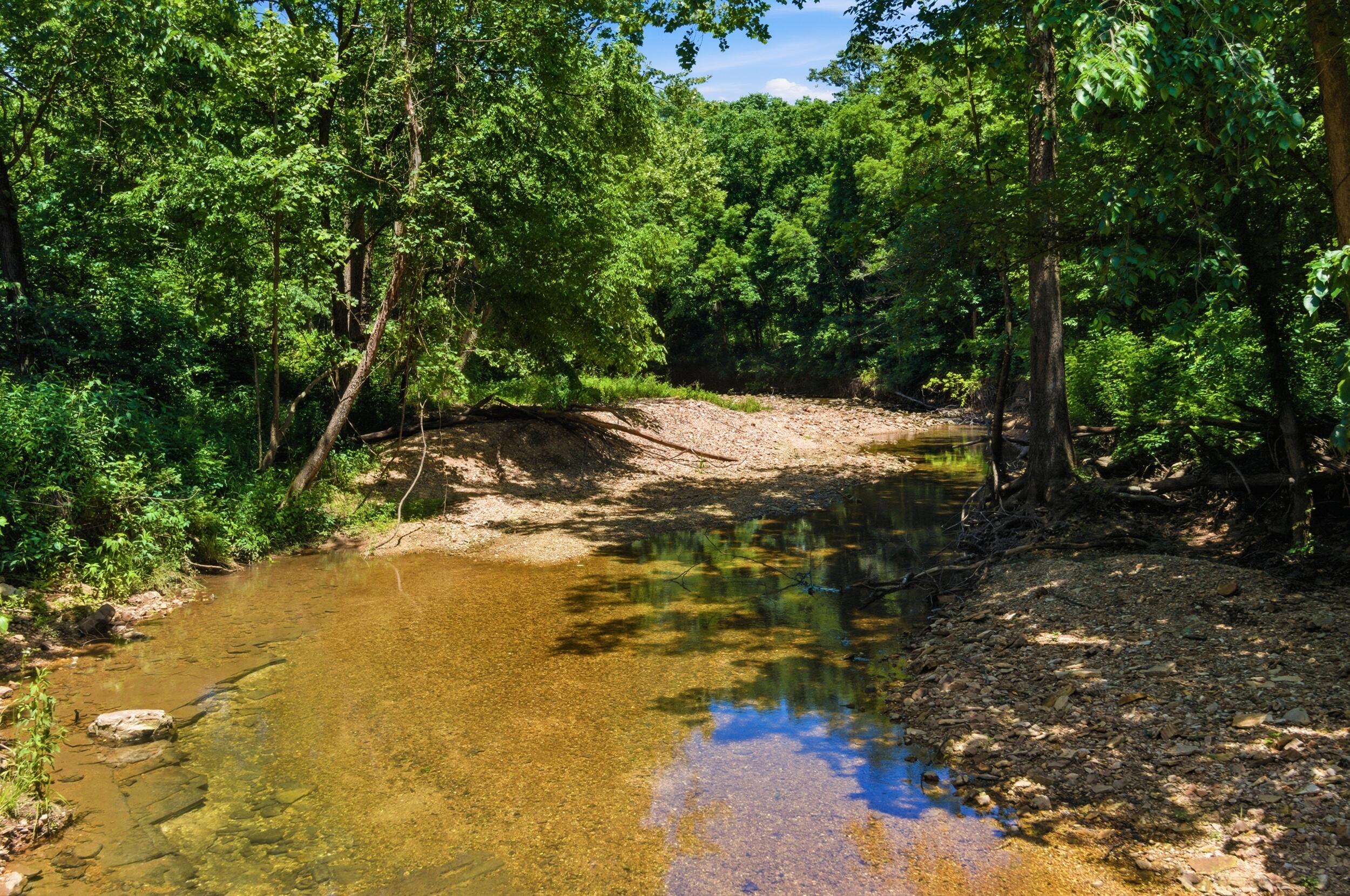 Photo 25 - Land for sale – 000  Pleasant Hill Road  Mountain Grove, MO