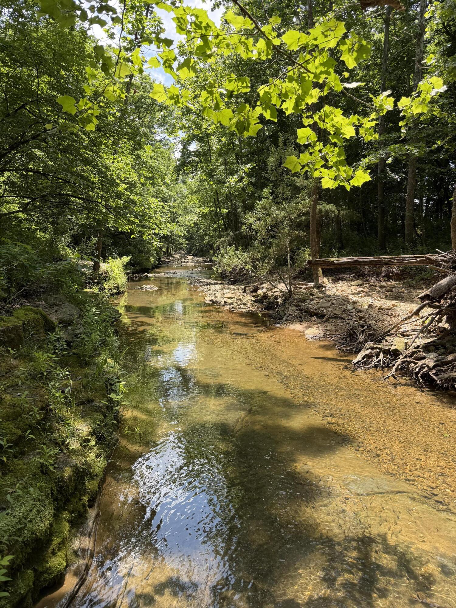 Photo 38 - Land for sale – 000  Pleasant Hill Road  Mountain Grove, MO