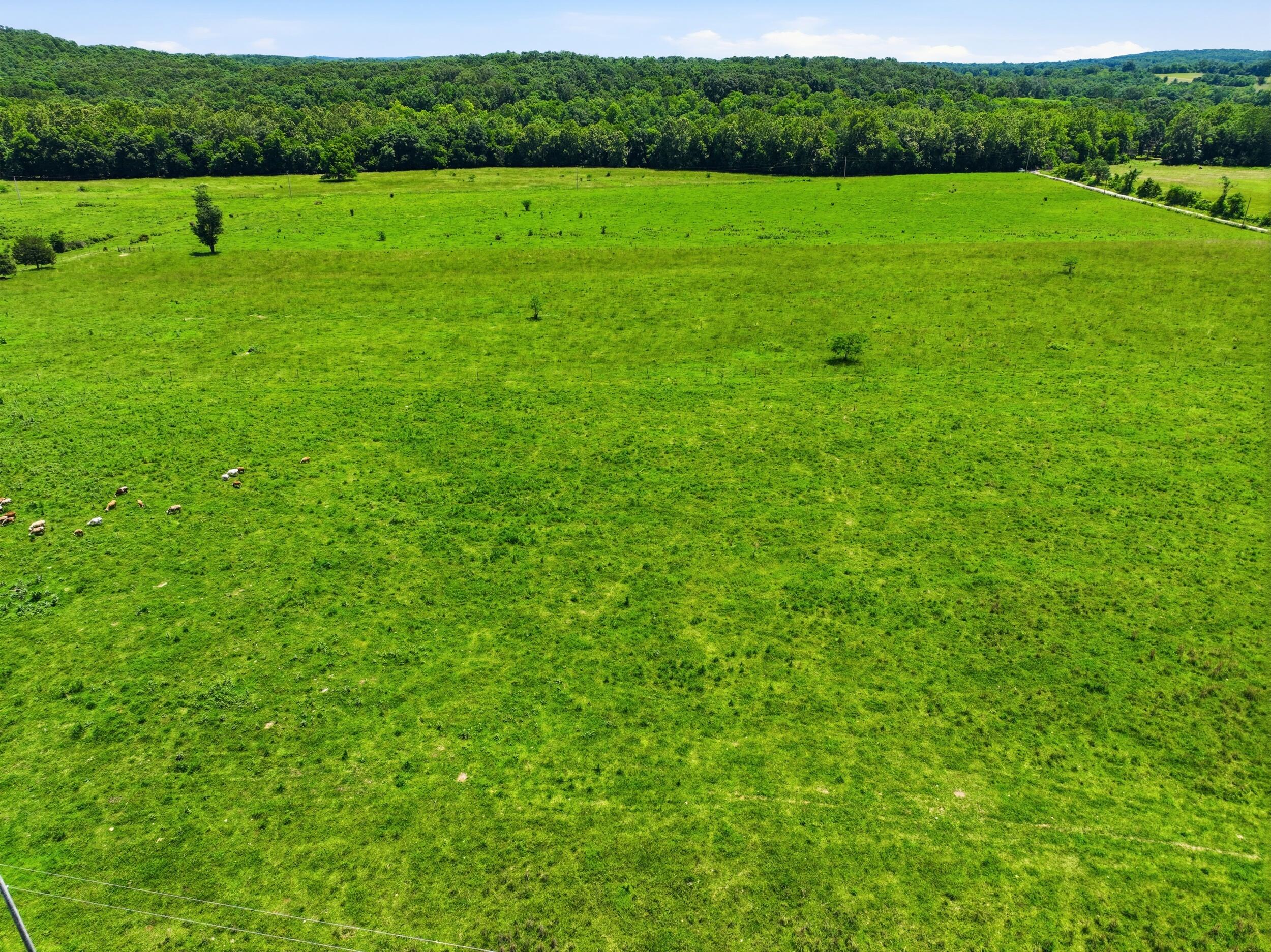 Photo 11 - Land for sale – 000  Pleasant Hill Road  Mountain Grove, MO