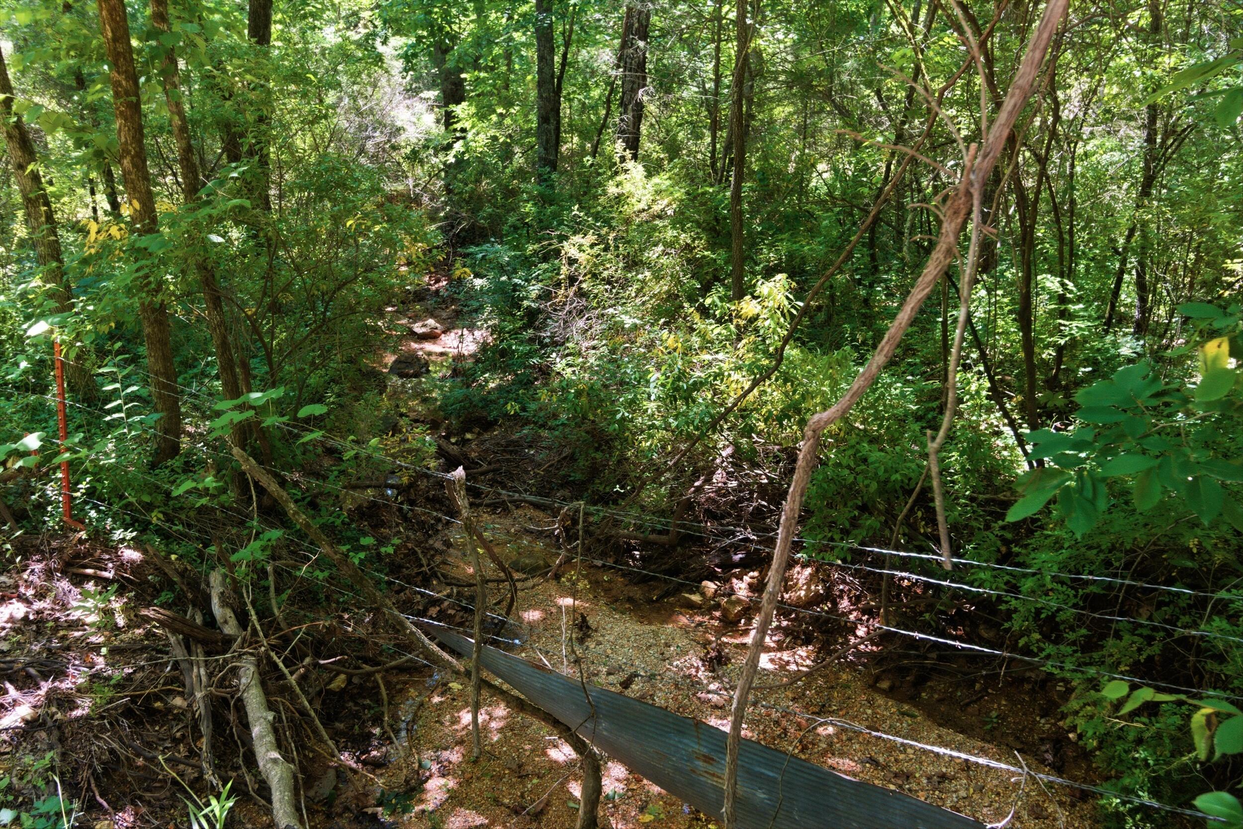 Photo 26 - Land for sale – 000  Pleasant Hill Road  Mountain Grove, MO