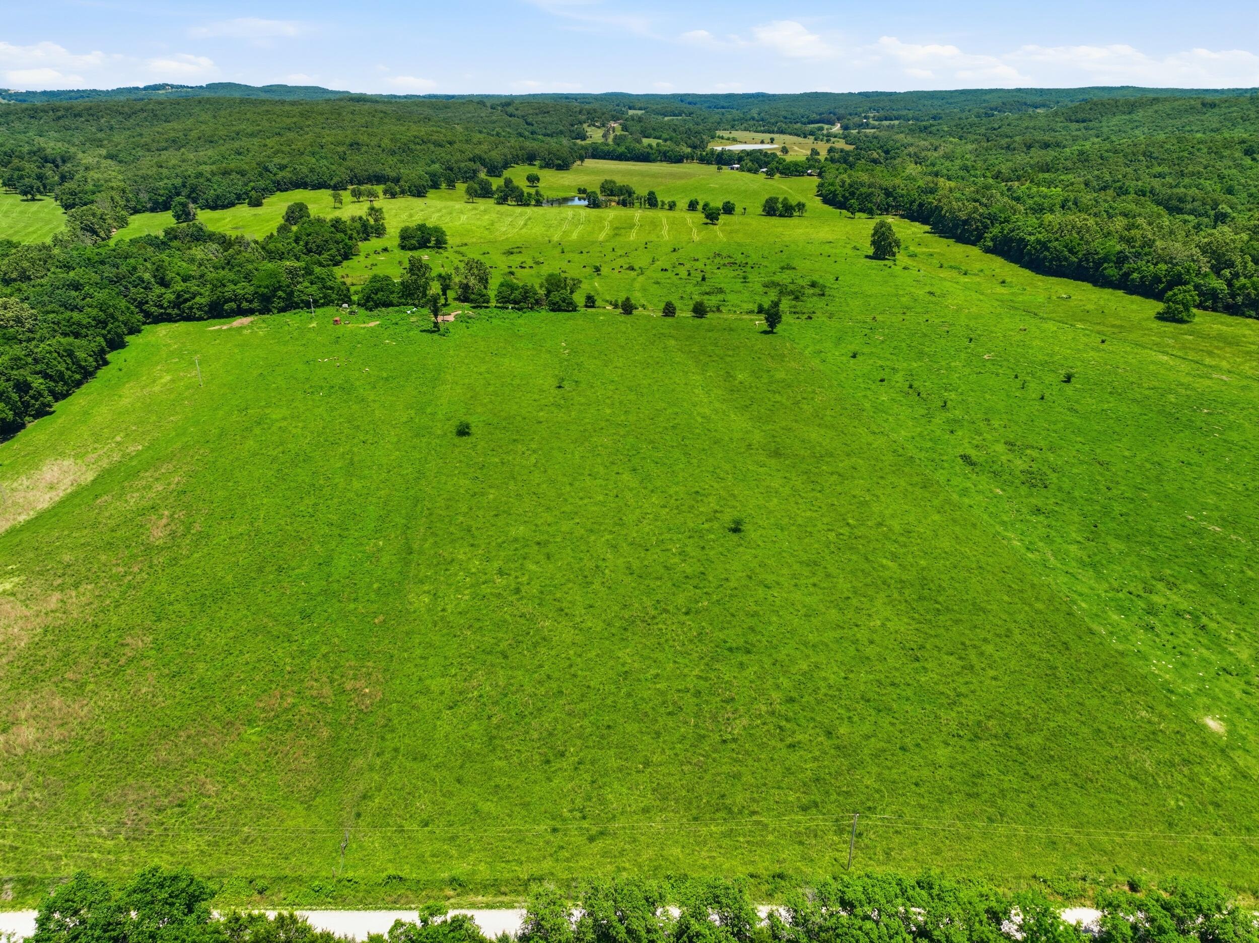 Photo 28 - Land for sale – 000  Pleasant Hill Road  Mountain Grove, MO