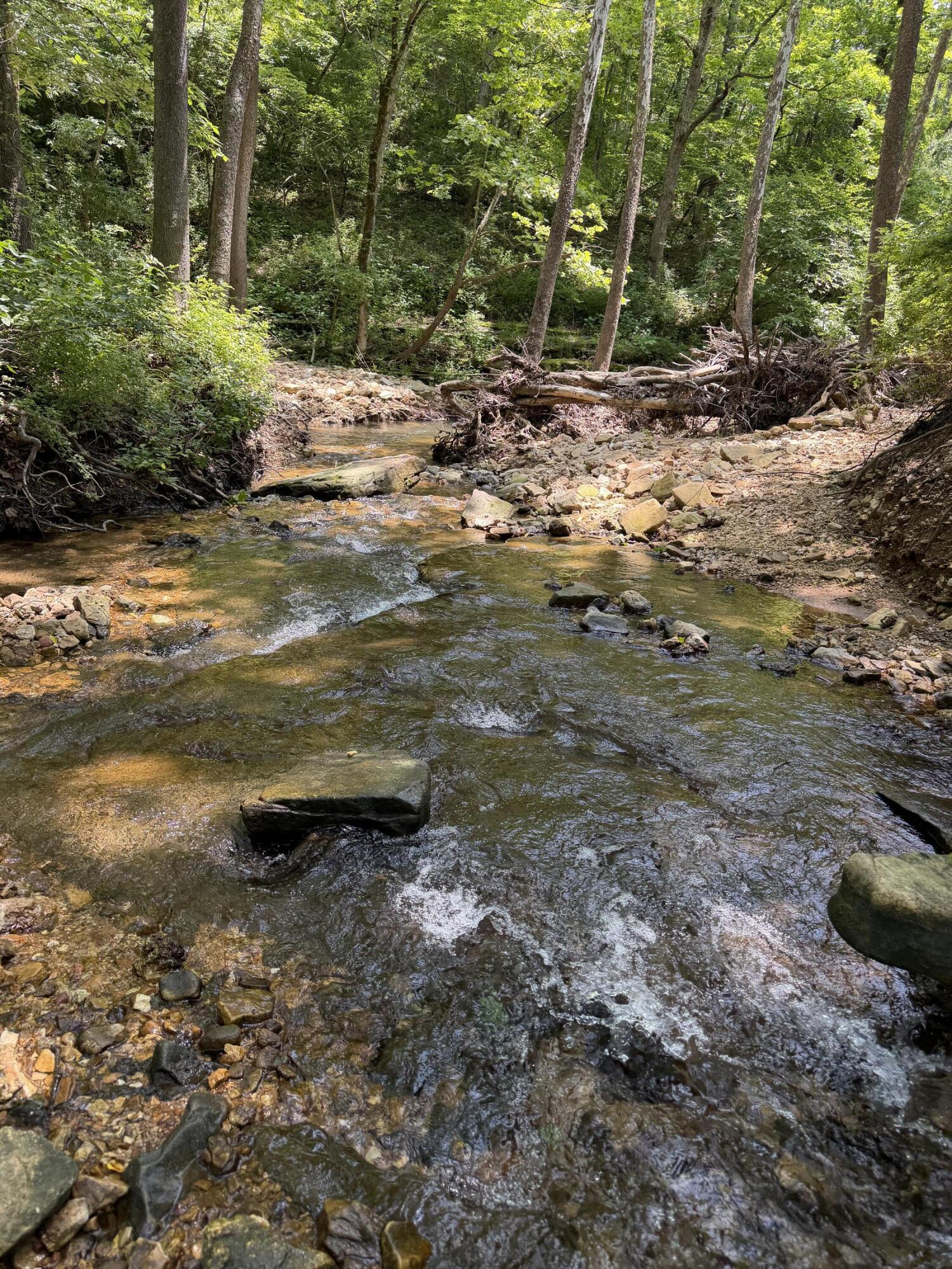 Photo 39 - Land for sale – 000  Pleasant Hill Road  Mountain Grove, MO