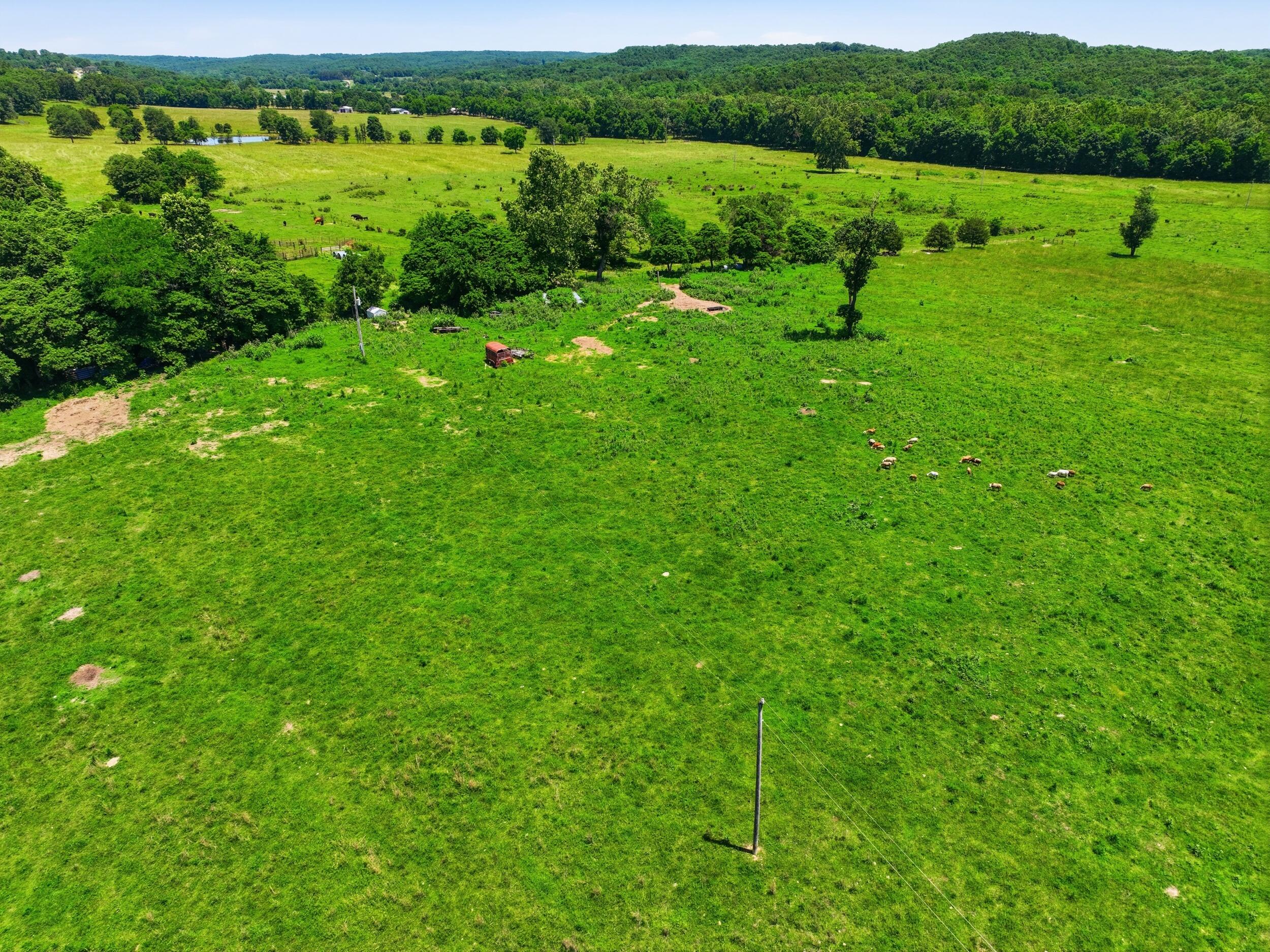 Photo 10 - Land for sale – 000  Pleasant Hill Road  Mountain Grove, MO