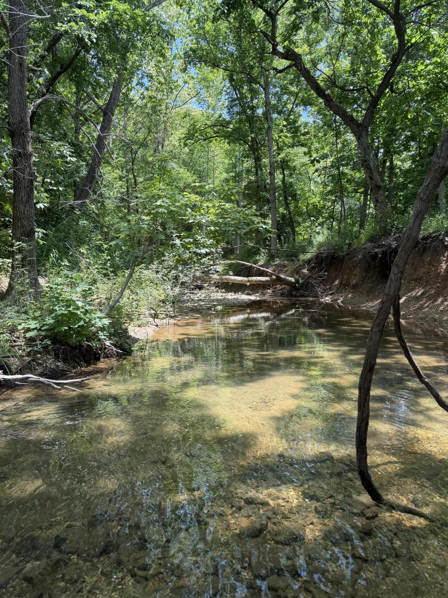 Photo 40 - Land for sale – 000  Pleasant Hill Road  Mountain Grove, MO