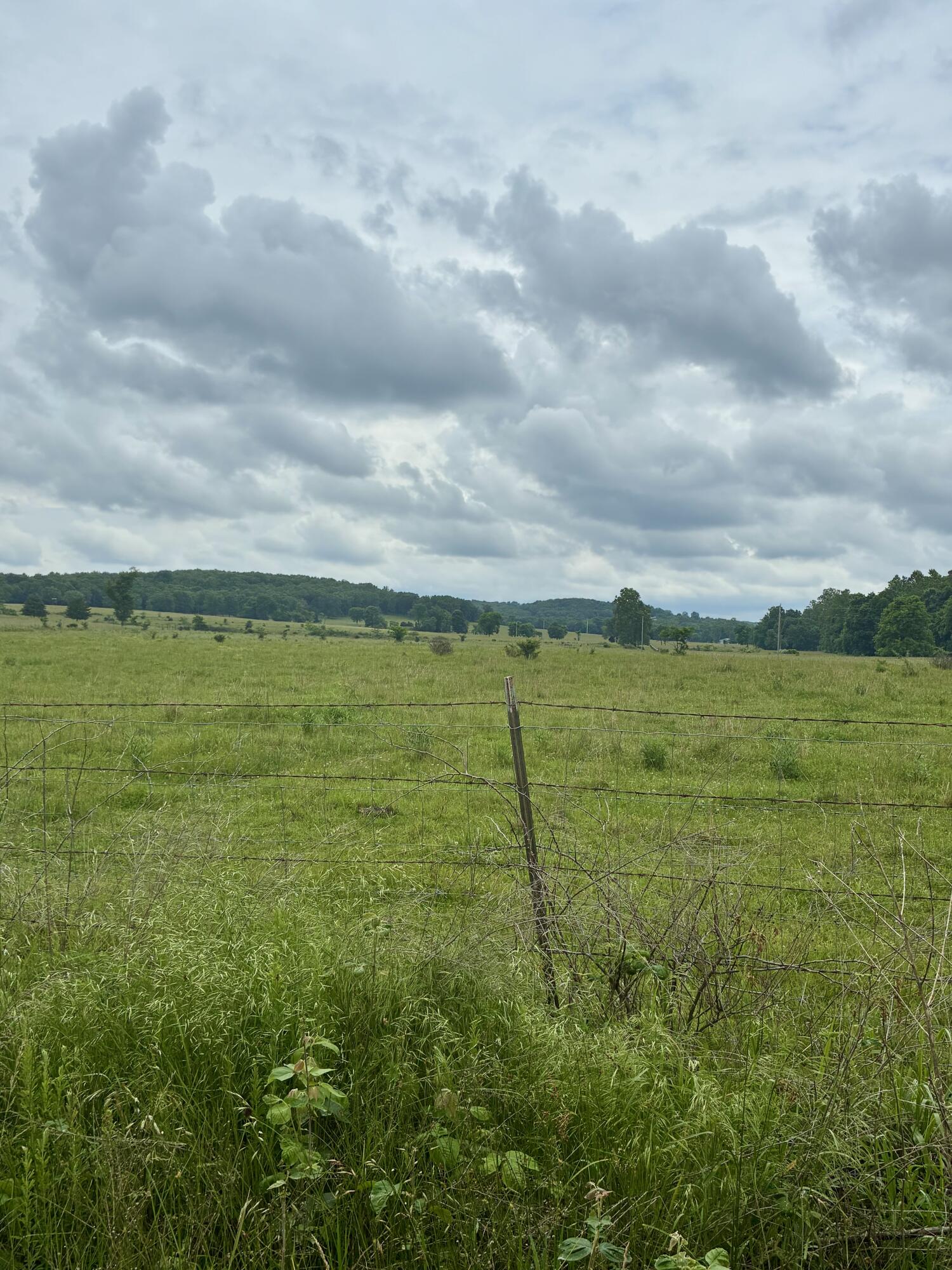 Photo 32 - Land for sale – 000  Pleasant Hill Road  Mountain Grove, MO