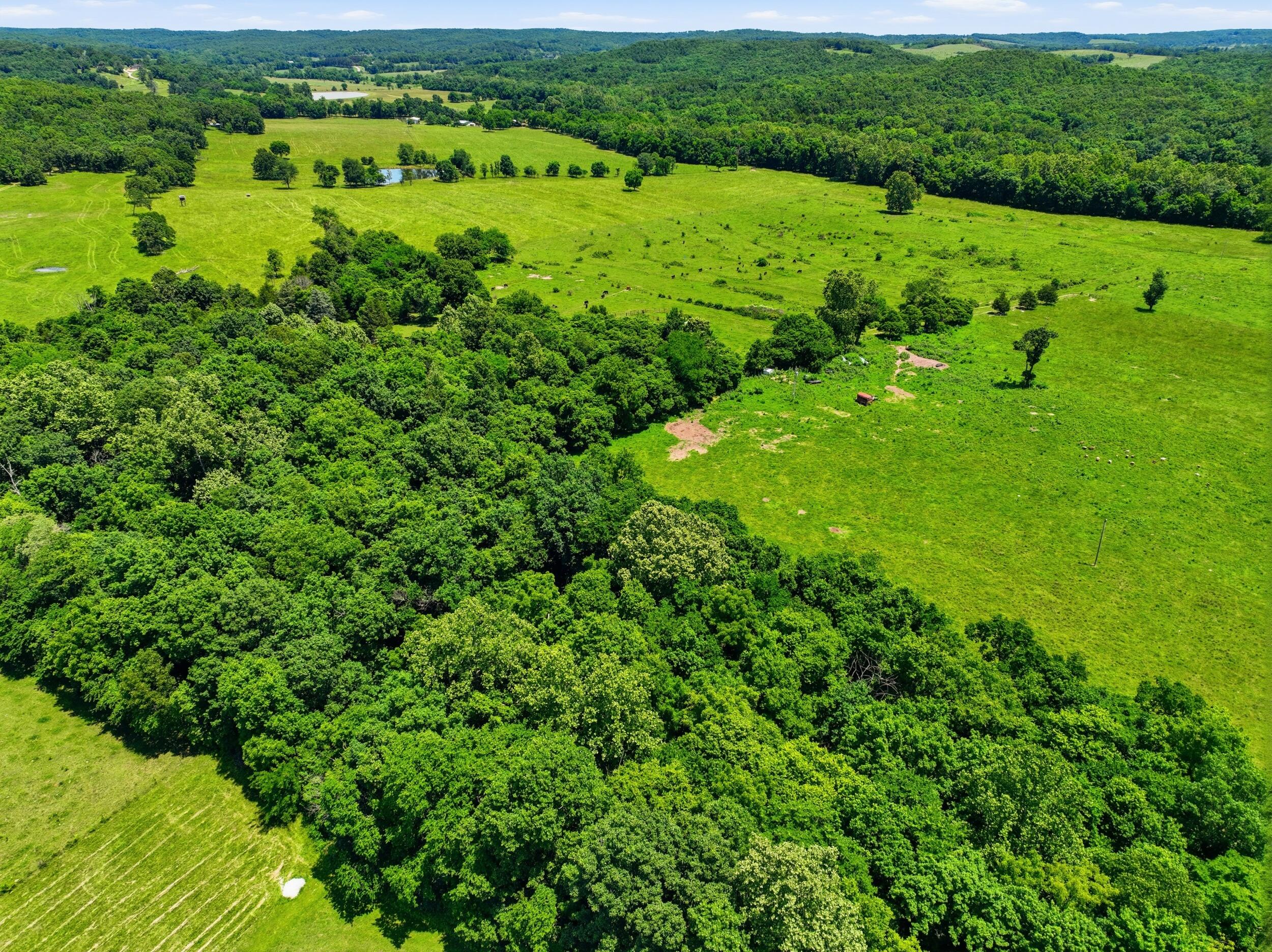 Photo 8 - Land for sale – 000  Pleasant Hill Road  Mountain Grove, MO