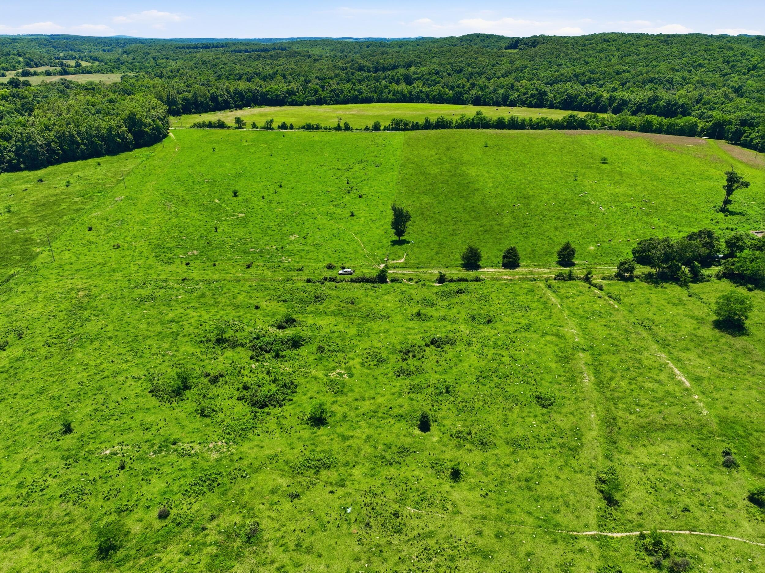 Photo 14 - Land for sale – 000  Pleasant Hill Road  Mountain Grove, MO