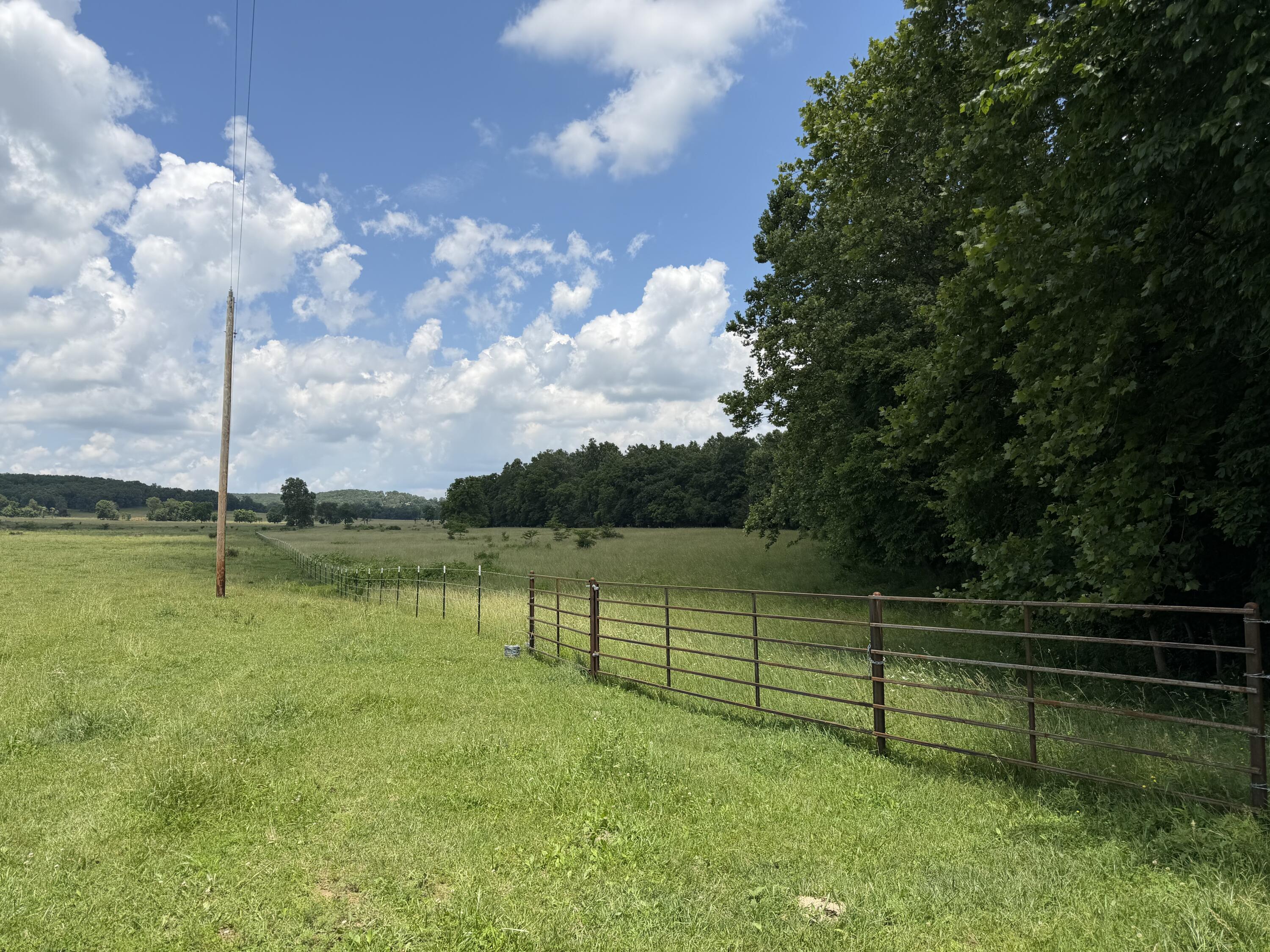 Photo 6 - Land for sale – 000  Pleasant Hill Road  Mountain Grove, MO