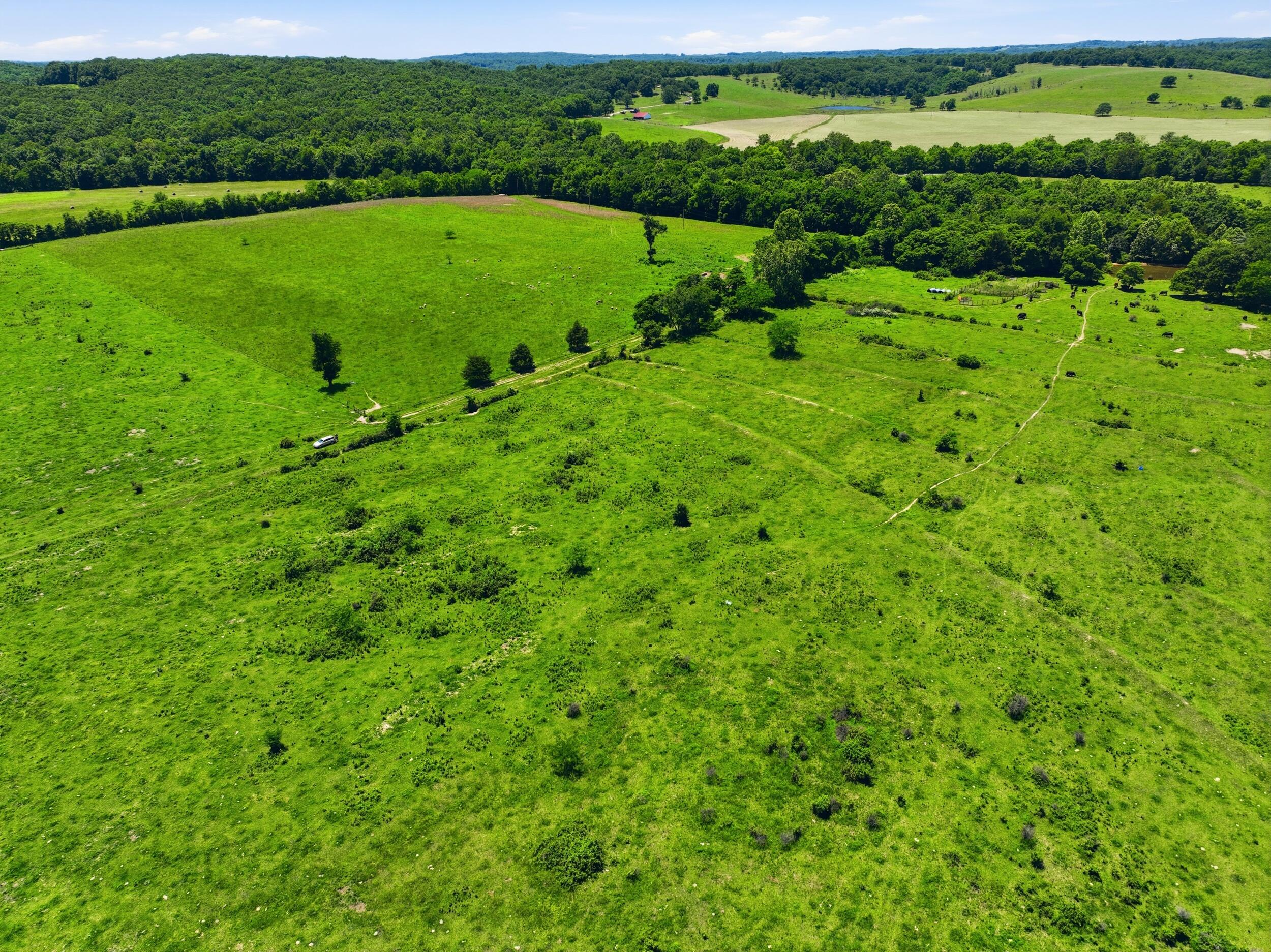 Photo 15 - Land for sale – 000  Pleasant Hill Road  Mountain Grove, MO