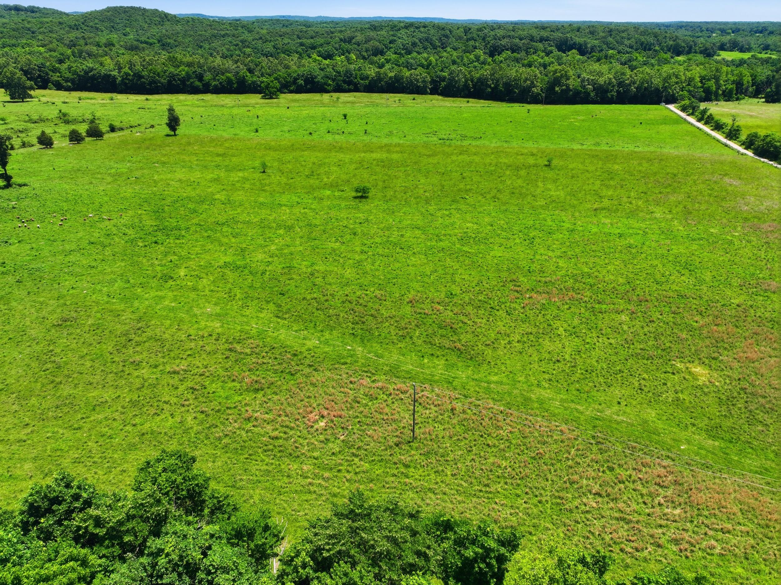 Photo 9 - Land for sale – 000  Pleasant Hill Road  Mountain Grove, MO