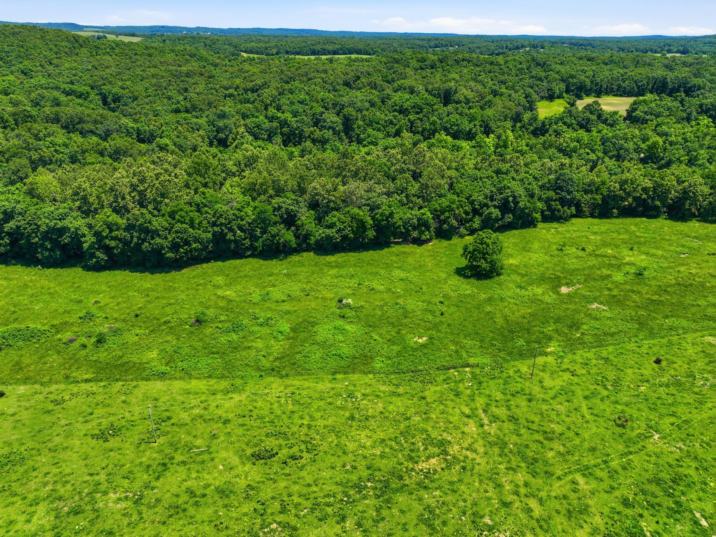 Photo 17 - Land for sale – 000  Pleasant Hill Road  Mountain Grove, MO
