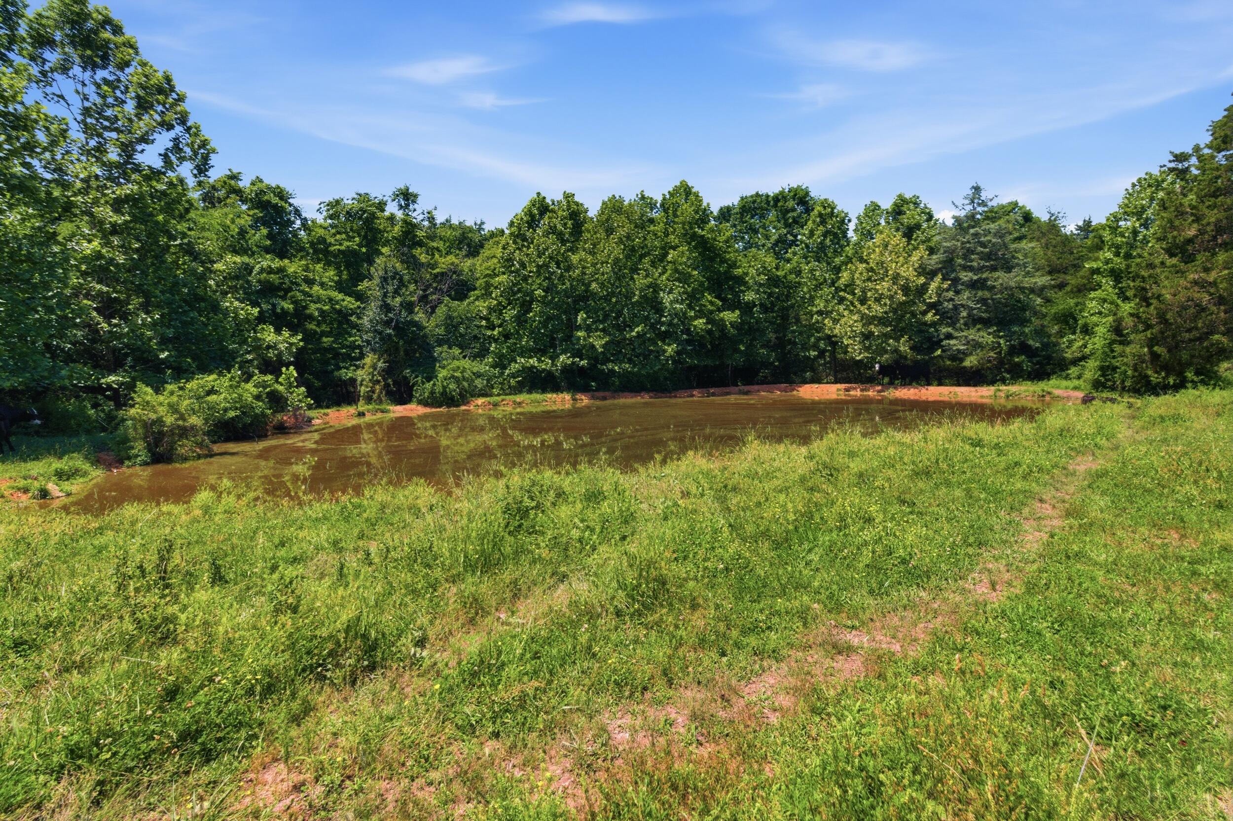 Photo 23 - Land for sale – 000  Pleasant Hill Road  Mountain Grove, MO
