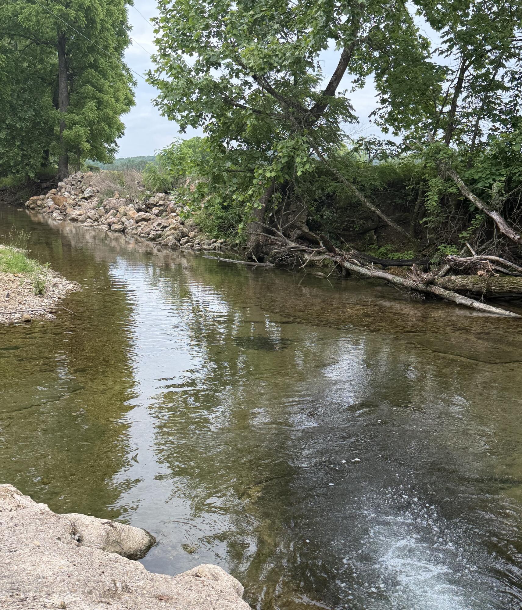 Photo 4 - Land for sale – 000  Pleasant Hill Road  Mountain Grove, MO