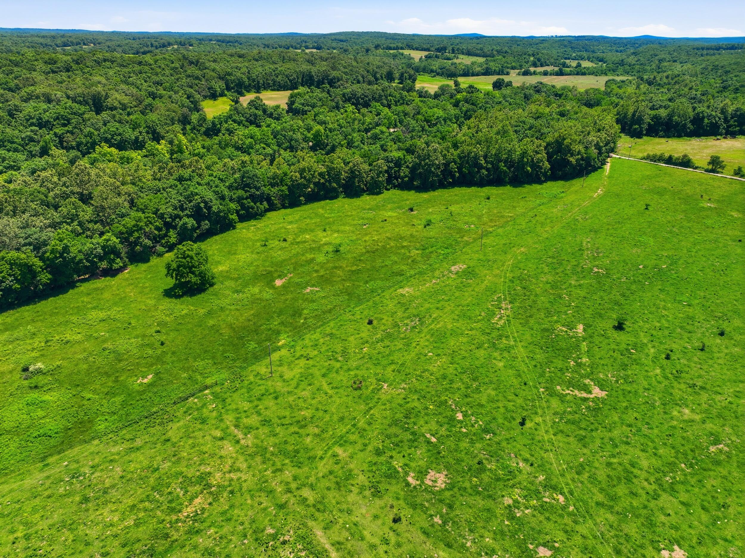 Photo 16 - Land for sale – 000  Pleasant Hill Road  Mountain Grove, MO