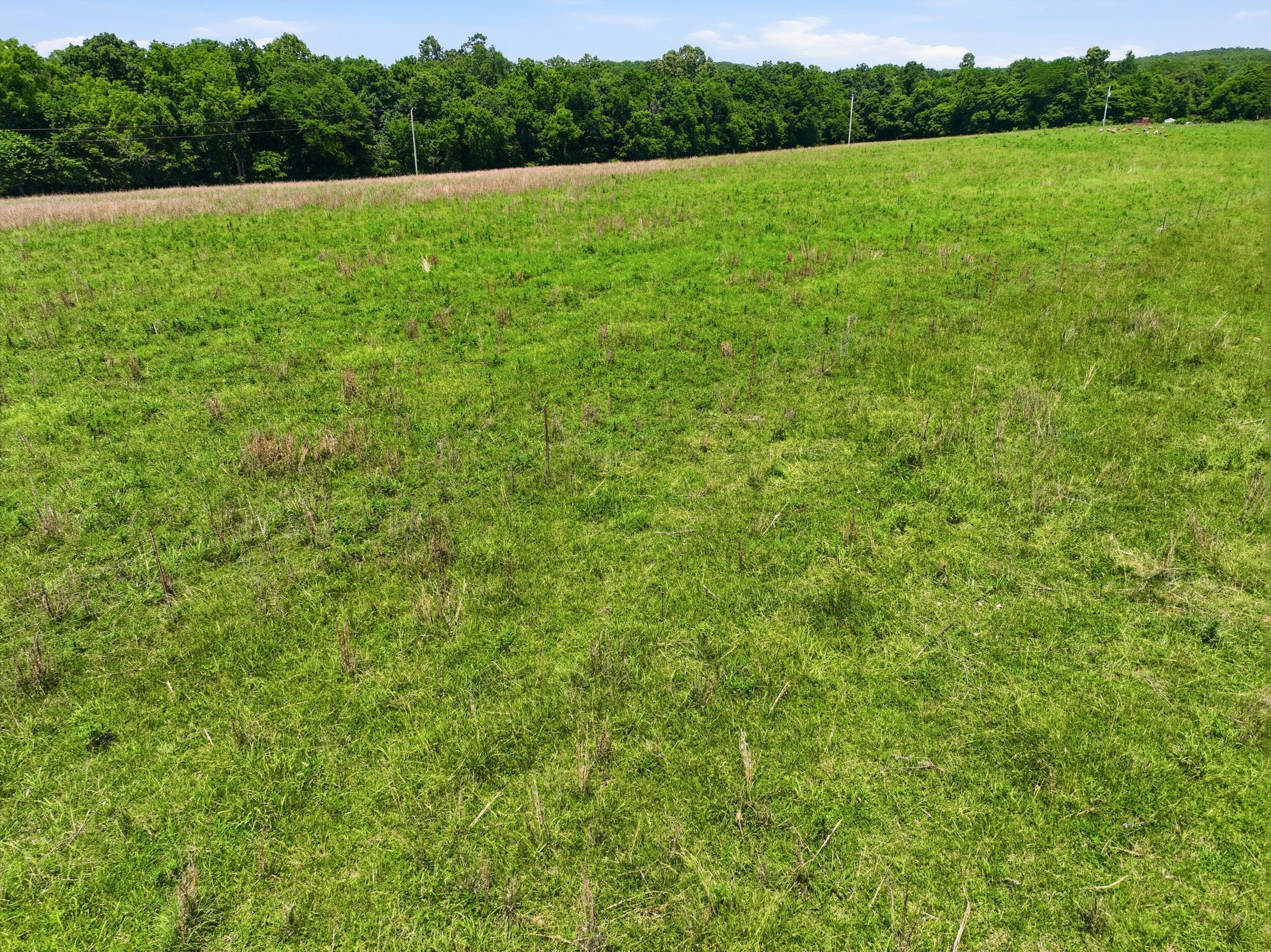 Photo 12 - Land for sale – 000  Pleasant Hill Road  Mountain Grove, MO