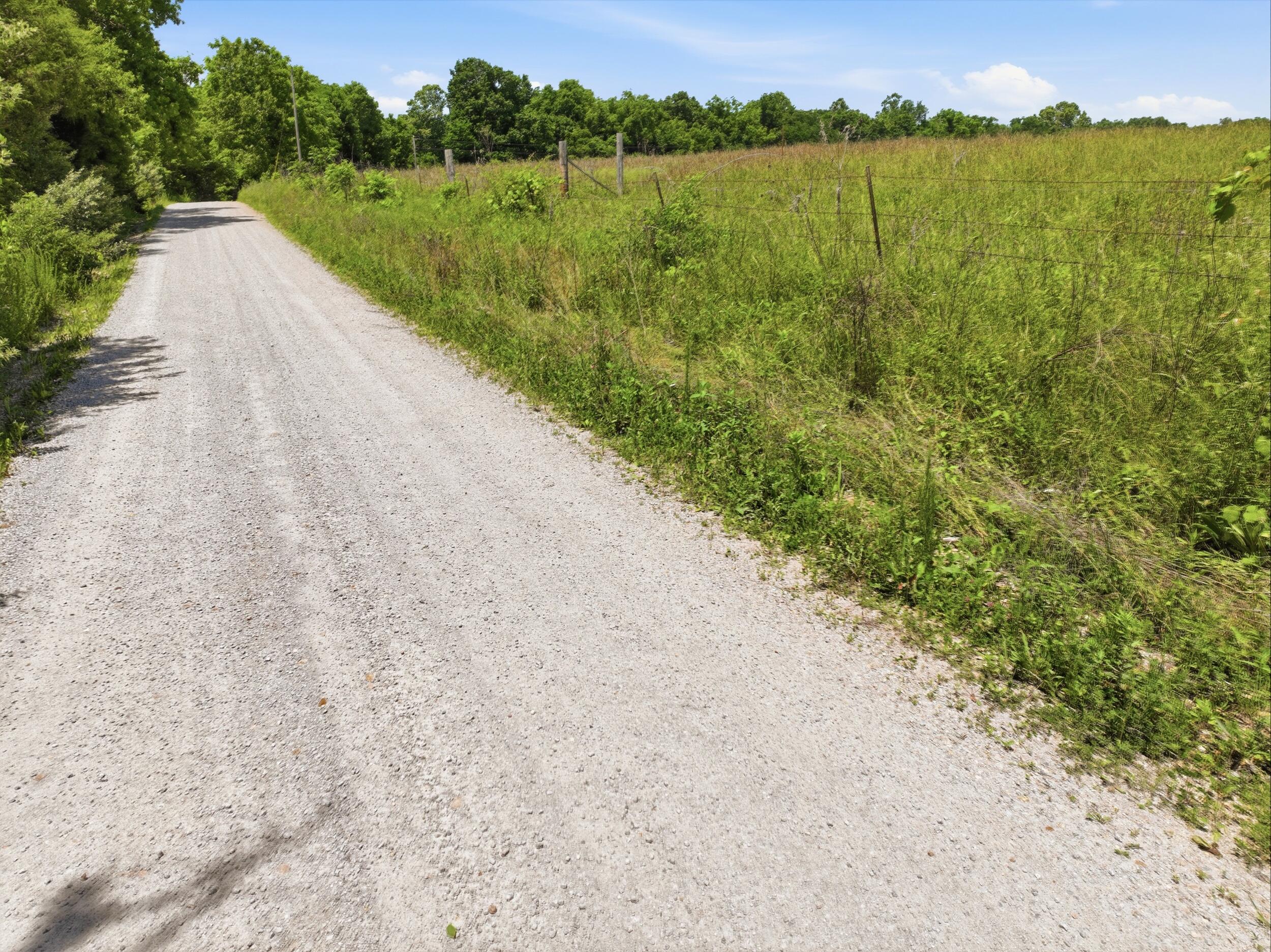 Photo 43 - Land for sale – 000  Pleasant Hill Road  Mountain Grove, MO