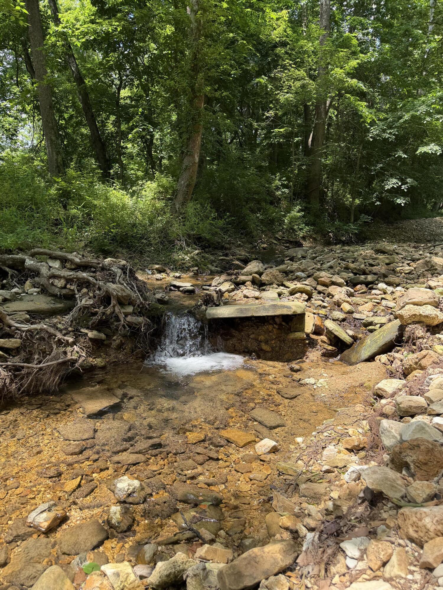 Photo 37 - Land for sale – 000  Pleasant Hill Road  Mountain Grove, MO