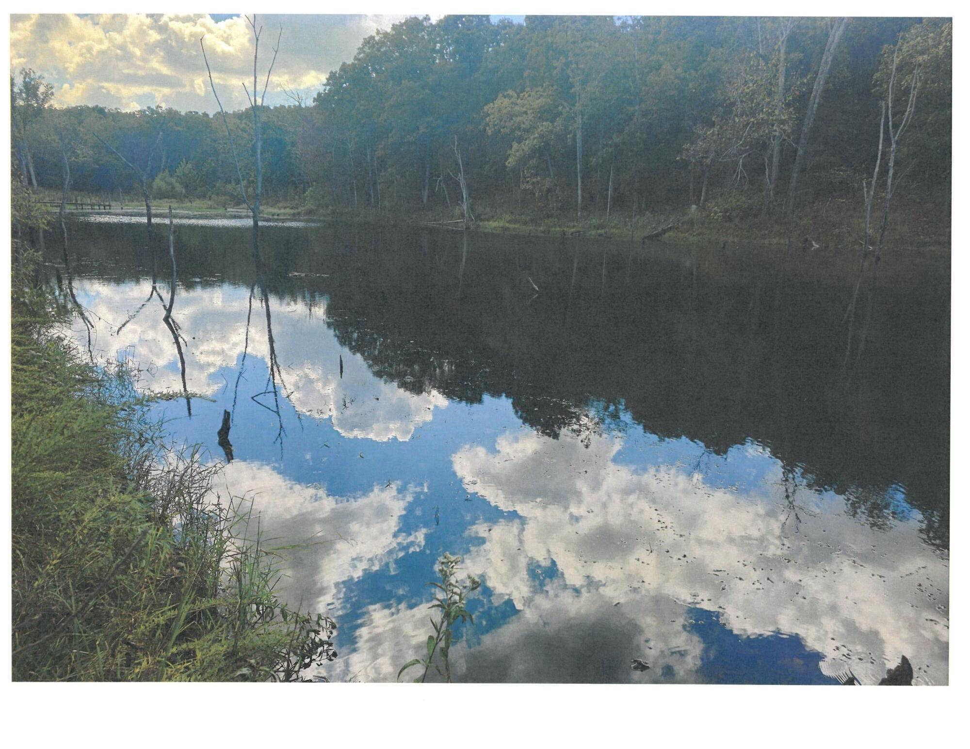 Land for sale – 000 Memphis Drive Lebanon, MO