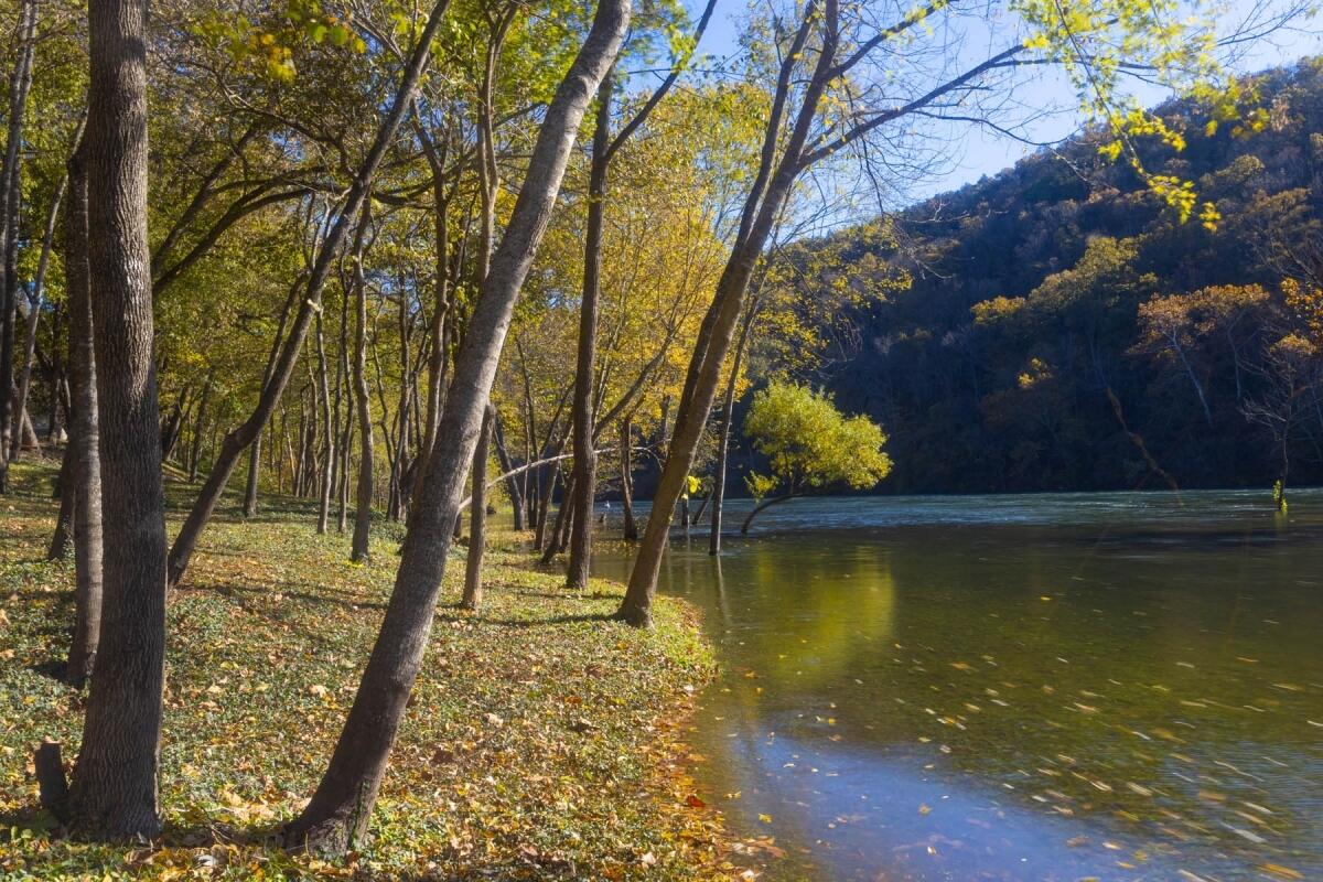 Photo 42 - Residential for sale – 257  Clubhouse Drive  Branson, MO