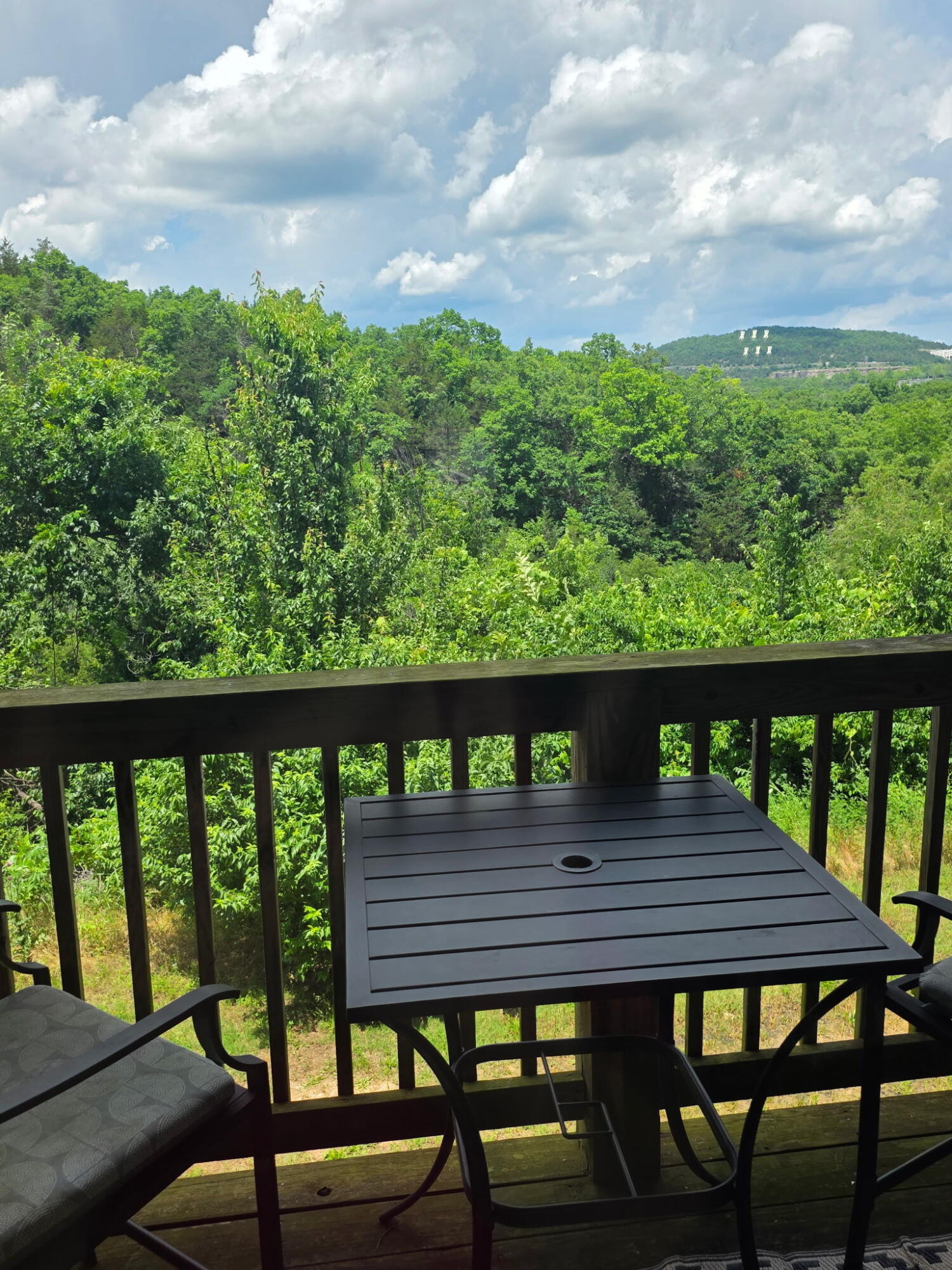 Photo 18 - Residential for sale – 2958  Vineyards Parkway  Branson, MO