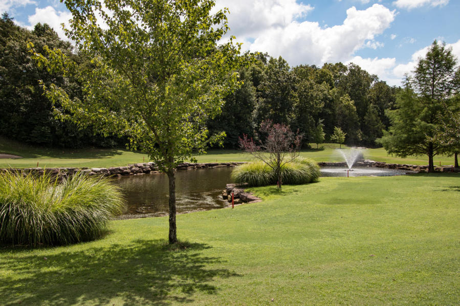 Photo 17 - Land for sale – Lot 139  Beechwood Drive   Branson West, MO