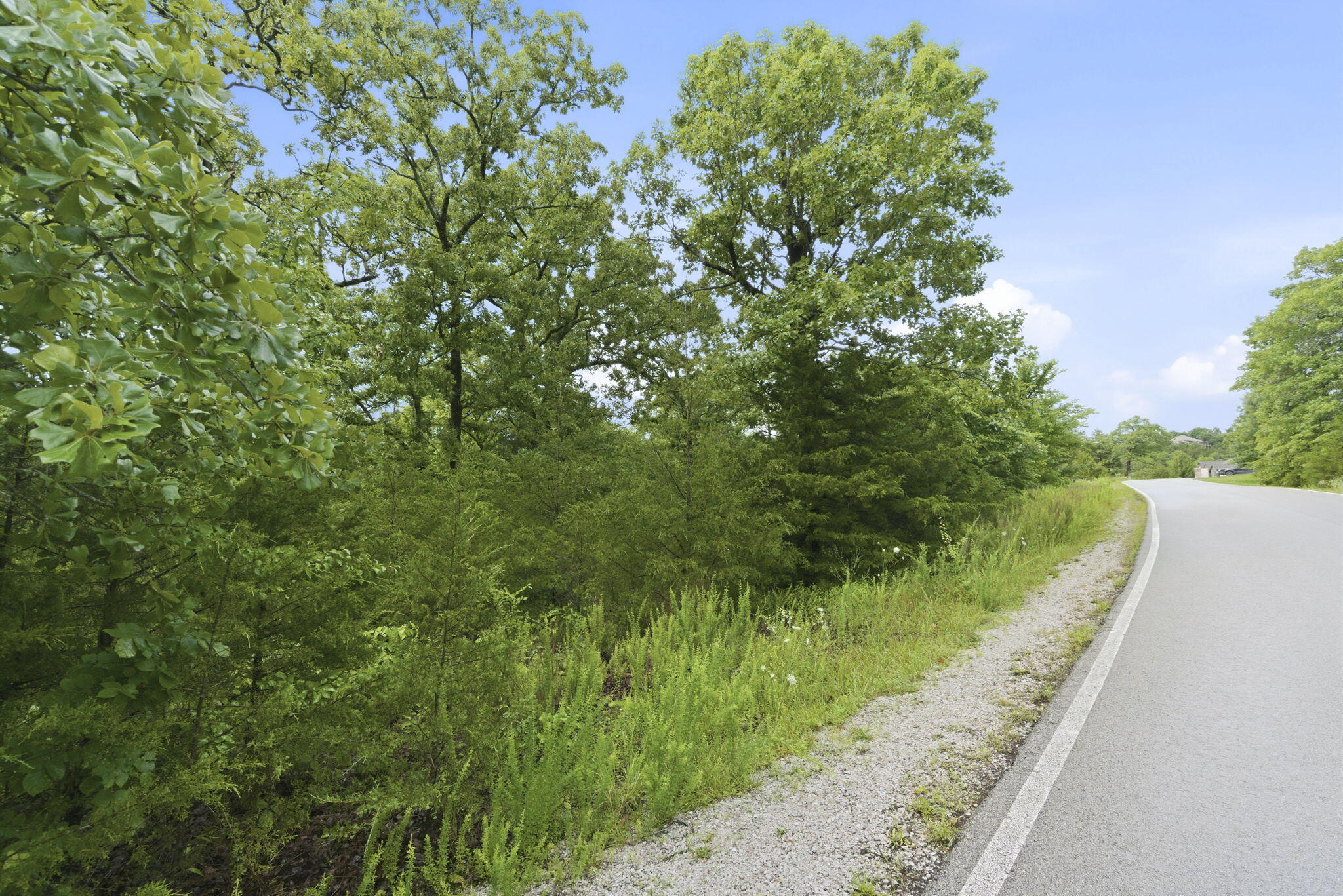 Photo 2 - Land for sale – Lot 139  Beechwood Drive   Branson West, MO