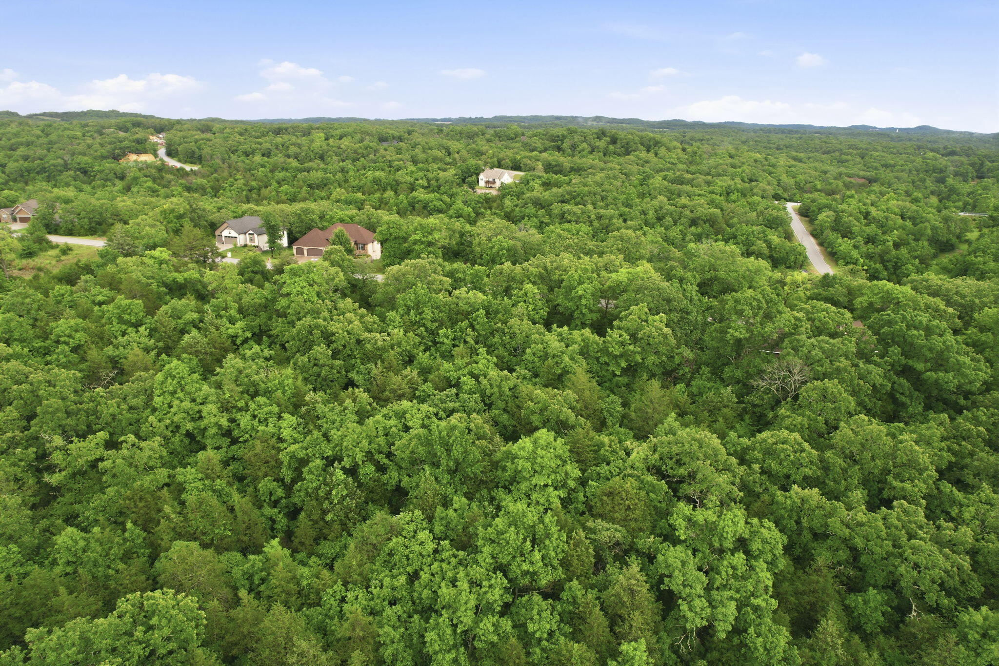Photo 14 - Land for sale – Lot 139  Beechwood Drive   Branson West, MO