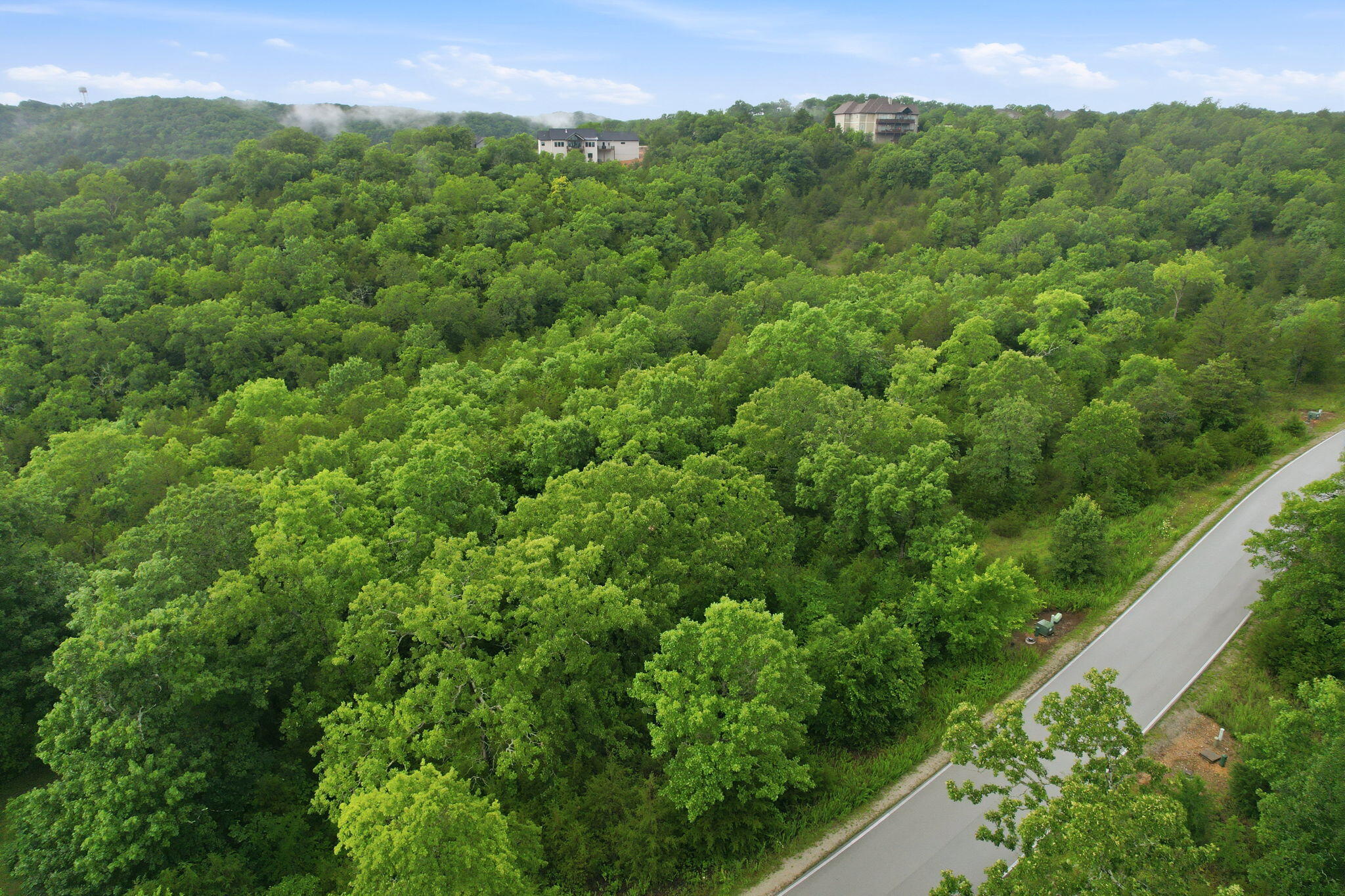 Photo 10 - Land for sale – Lot 139  Beechwood Drive   Branson West, MO