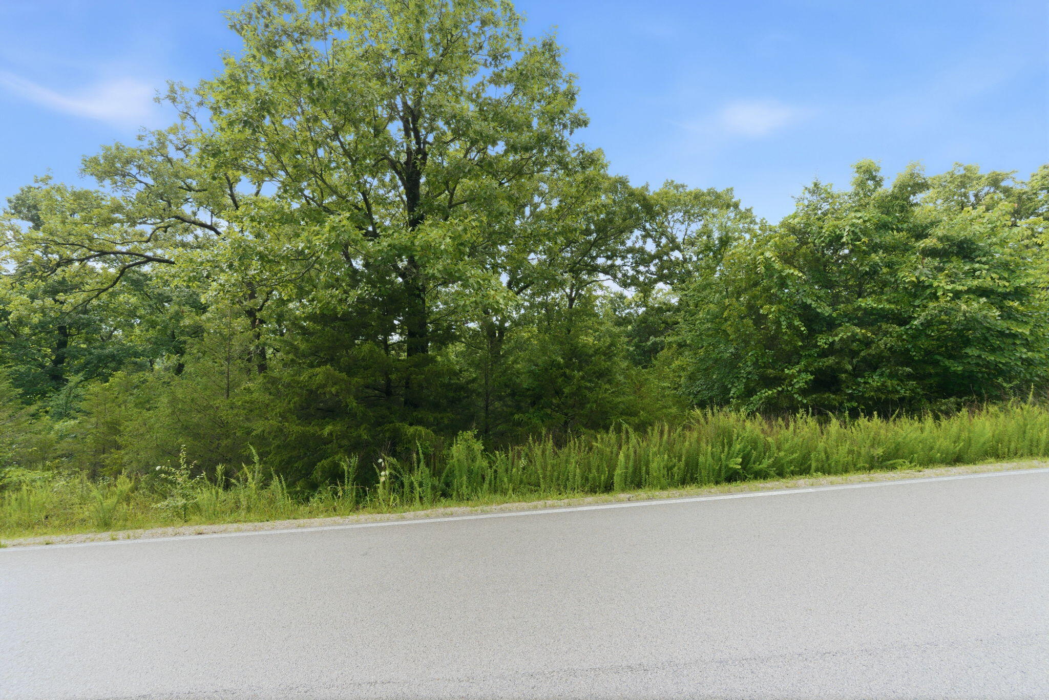 Photo 3 - Land for sale – Lot 139  Beechwood Drive   Branson West, MO