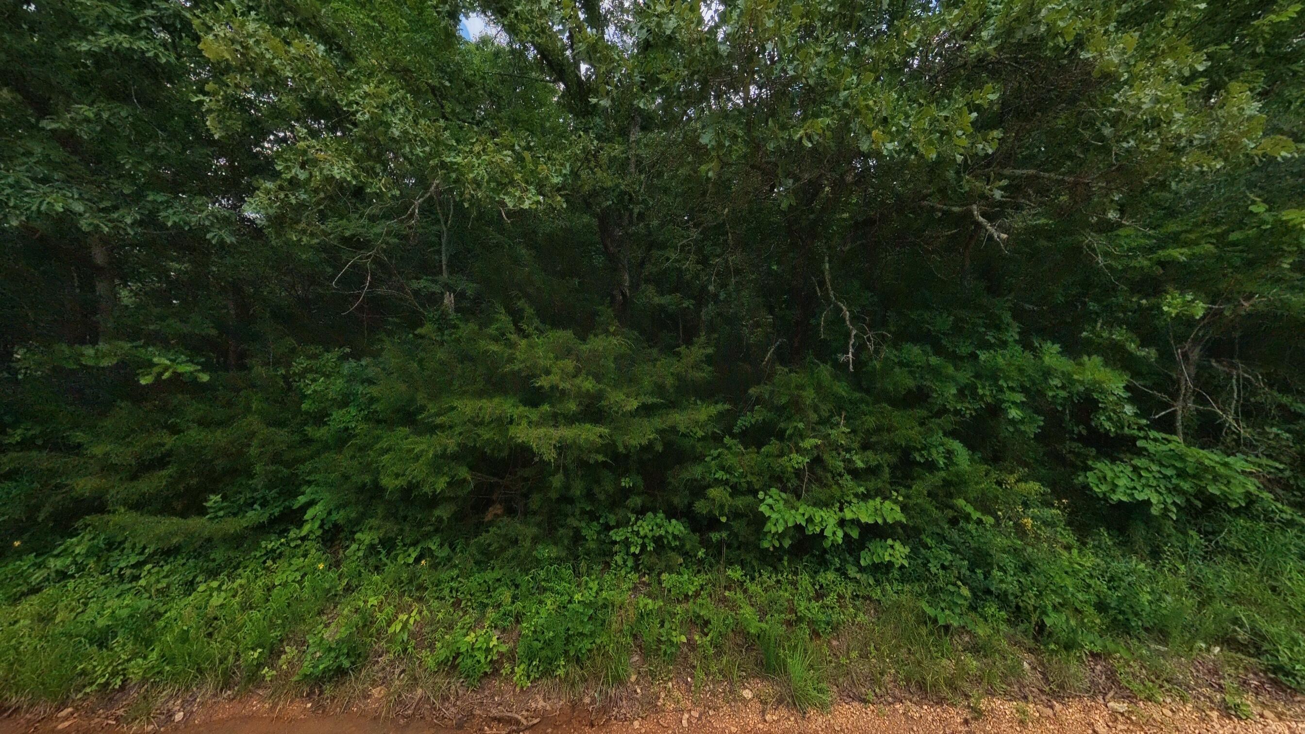 Photo 21 - Land for sale – 000 N Camp Creek Road  Mammoth Spring, AR