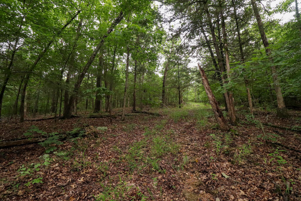 Photo 80 - Residential for sale – 225  Cory'S Trail   Theodosia, MO