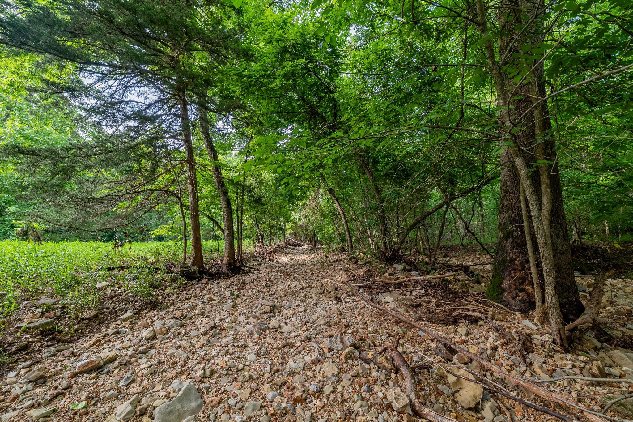 Photo 77 - Residential for sale – 225  Cory'S Trail   Theodosia, MO