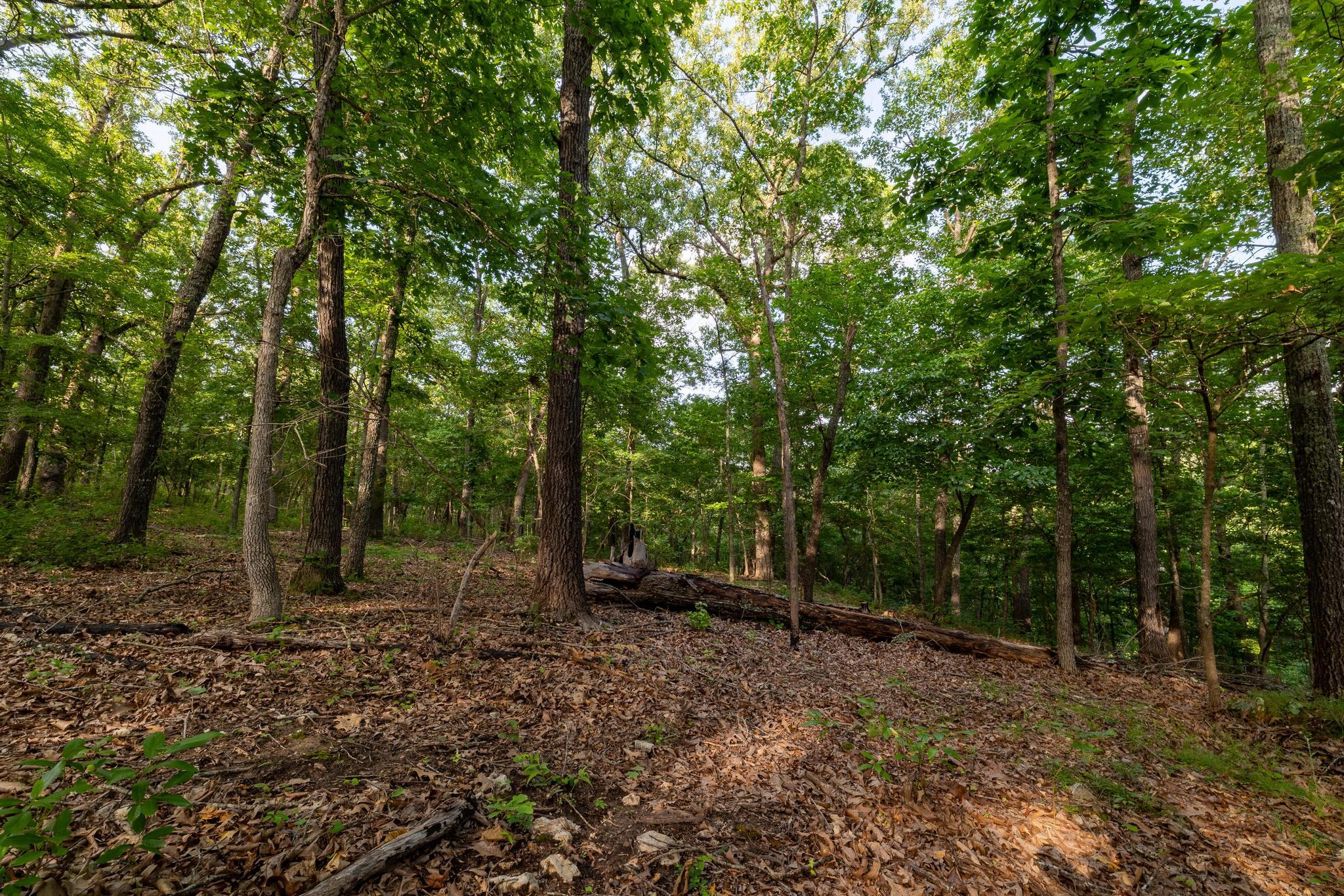 Photo 89 - Residential for sale – 225  Cory'S Trail   Theodosia, MO