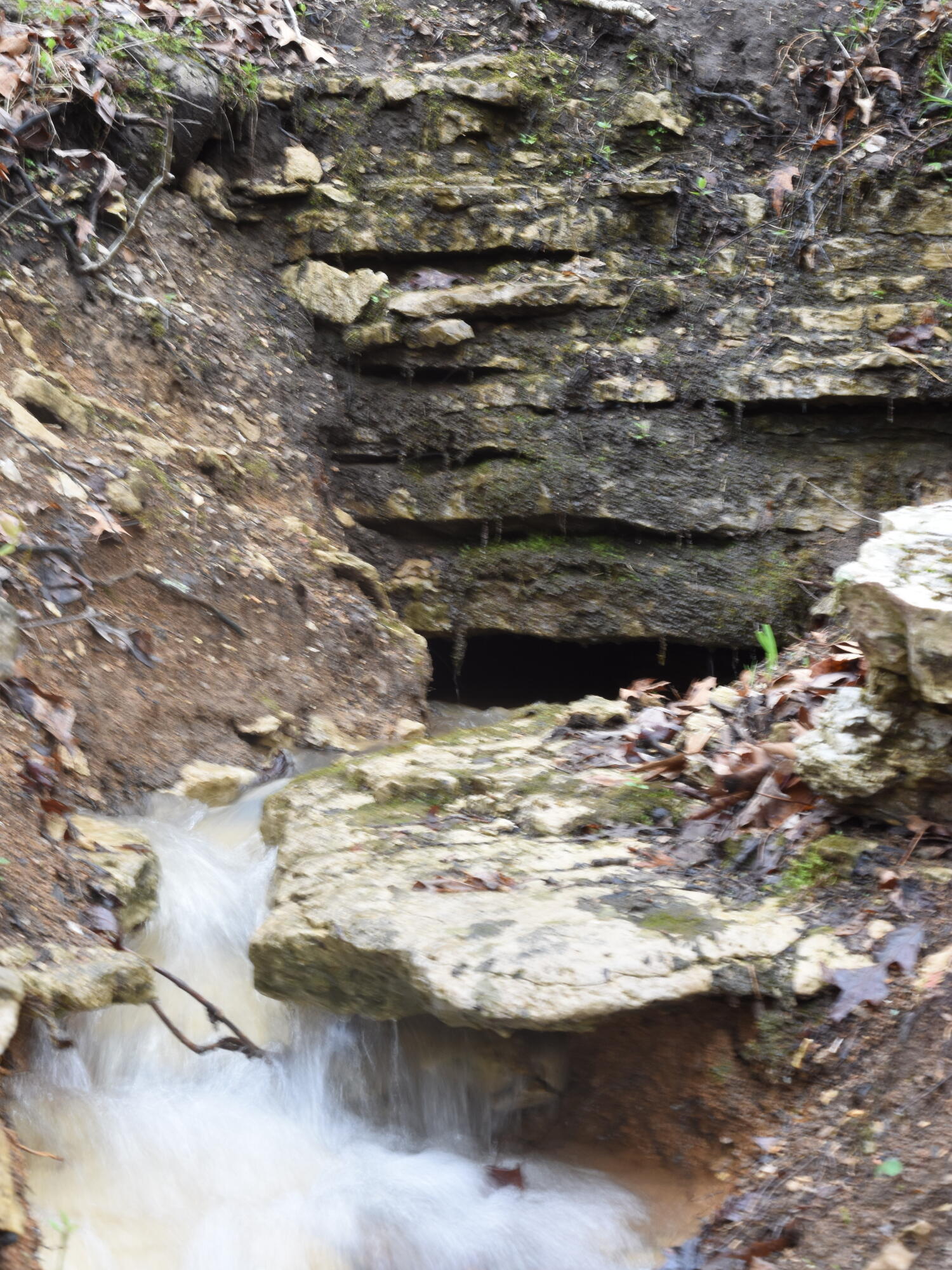 Photo 3 - Land for sale – 000  Highway Y   Elk Creek, MO